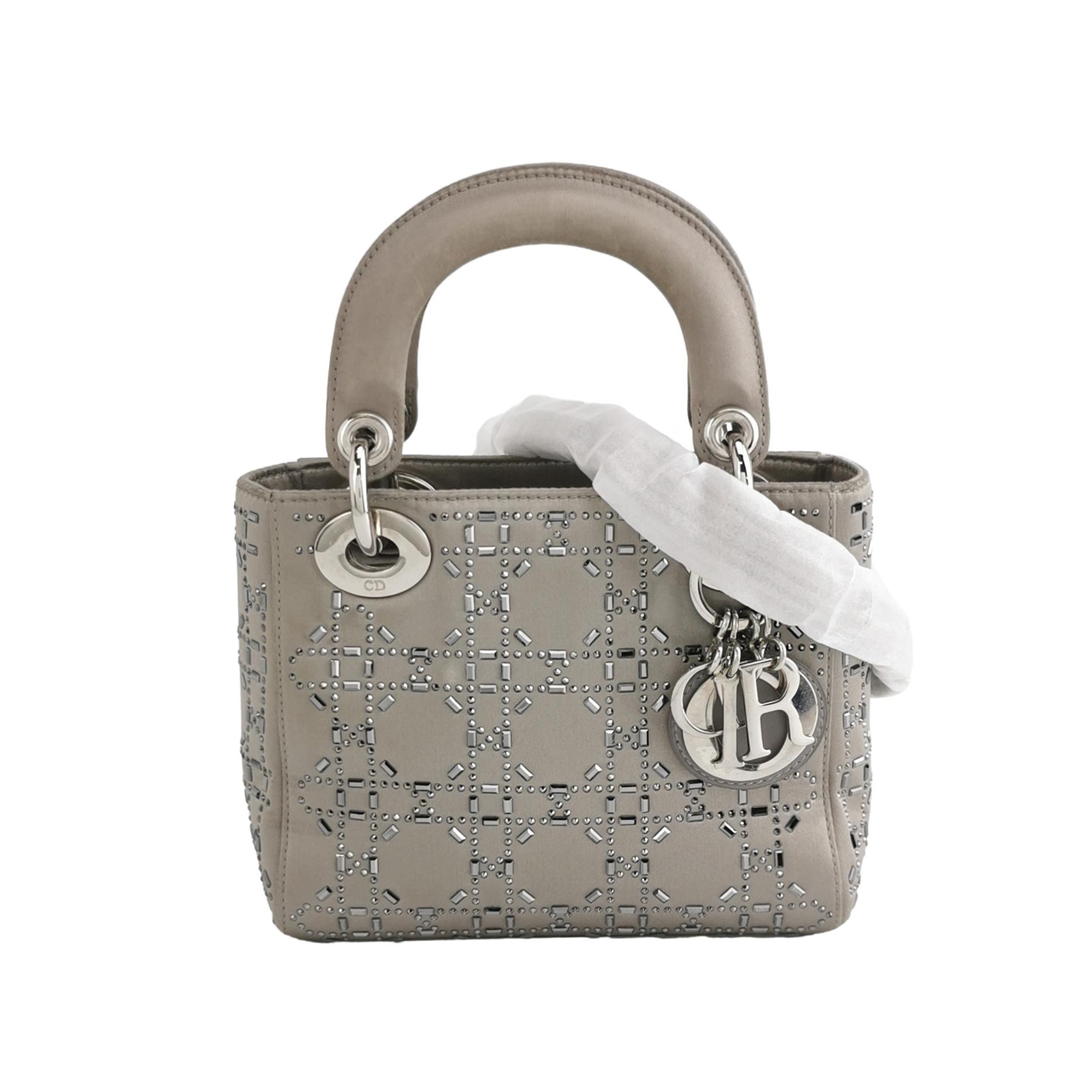 Lady Diorlogocrossbody Bag