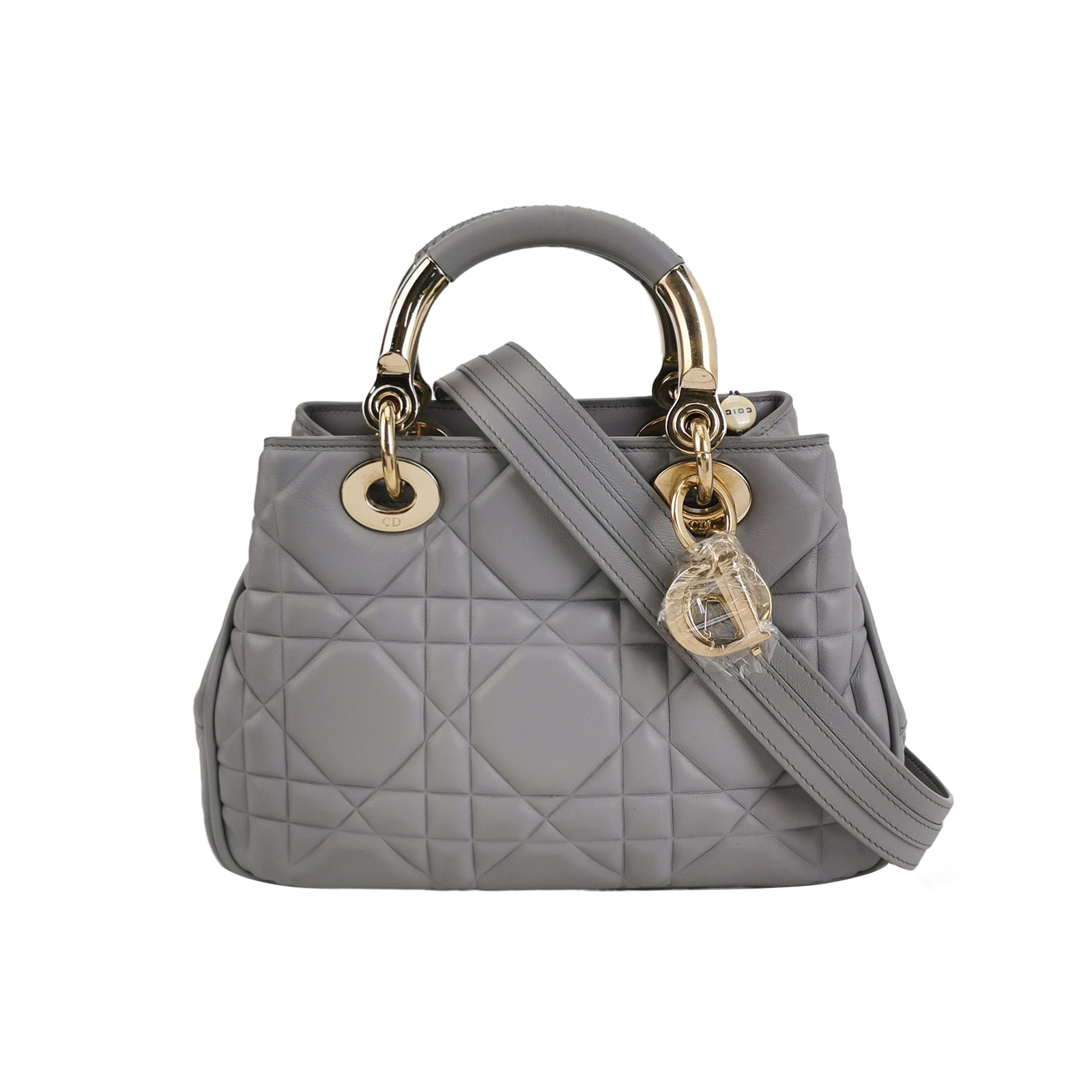 Lady Diorlogocrossbody Bag