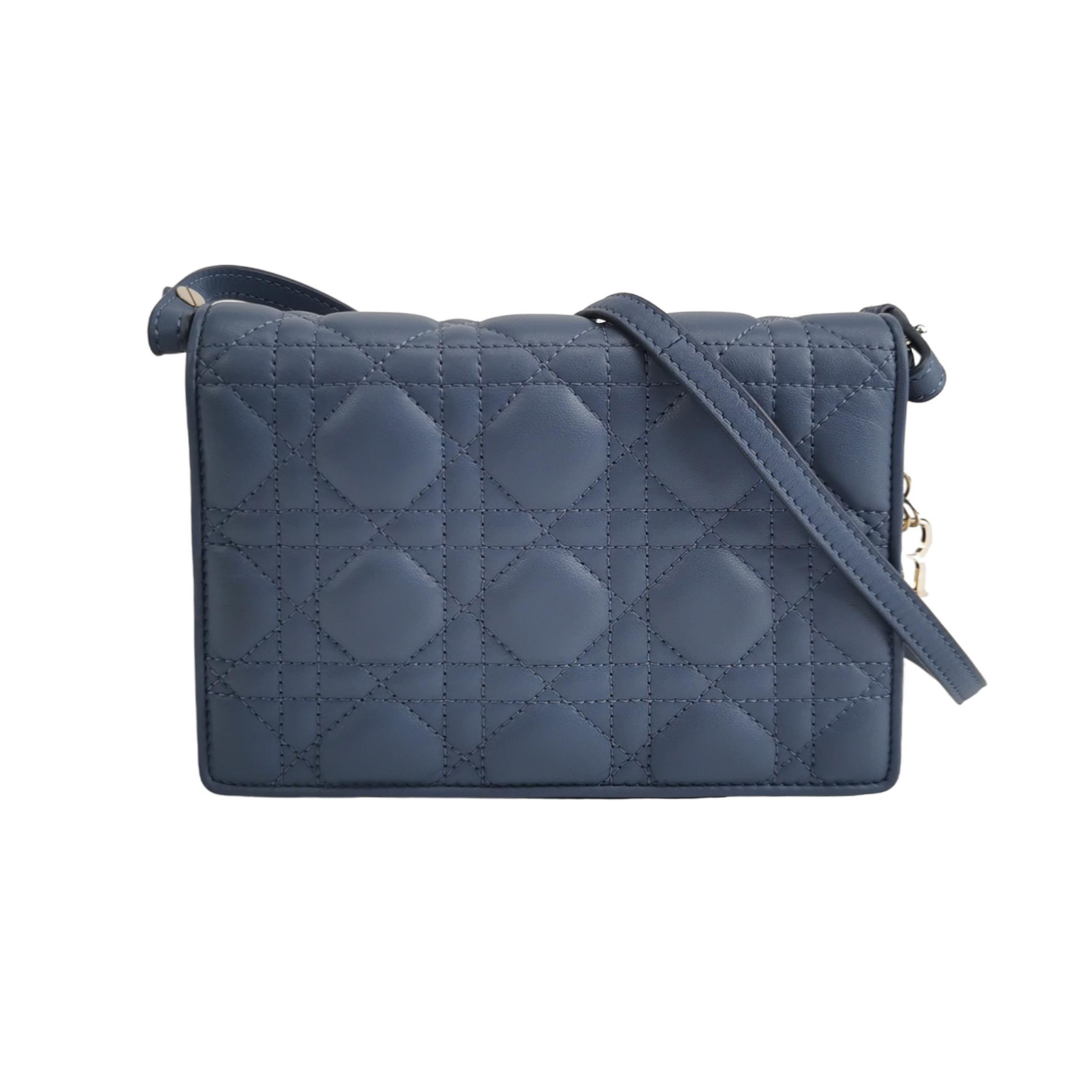 Lady Diorlogocrossbody Bag