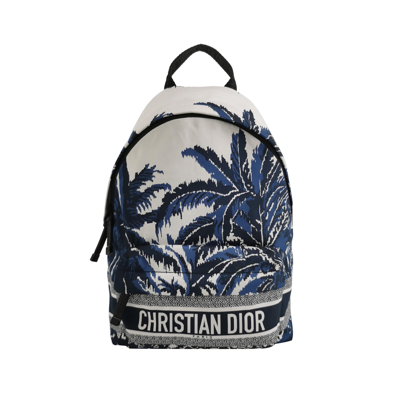Dior Travellogobackpack