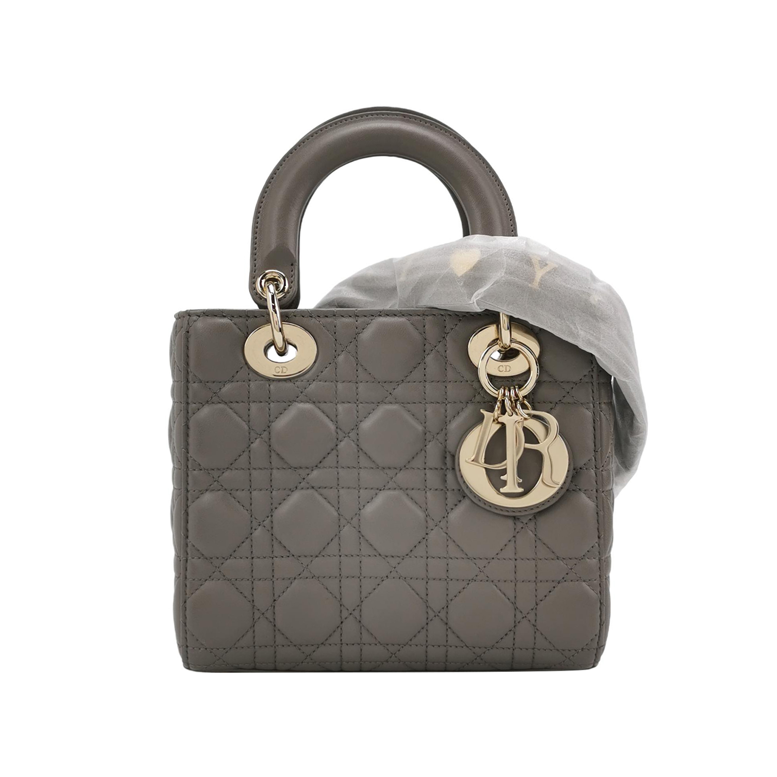 Lady Diorlogocrossbody Bag