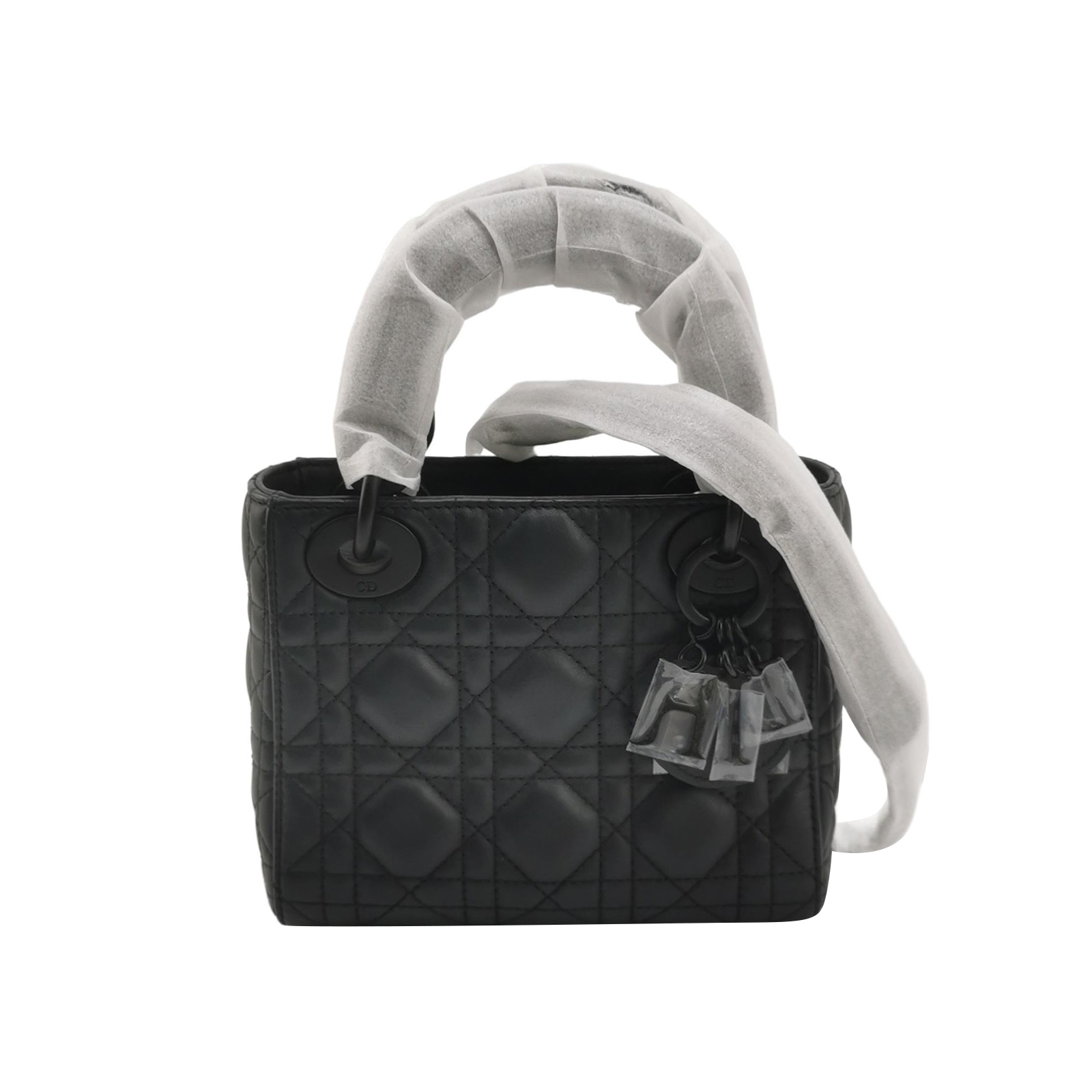 Lady Diorlogohandbag