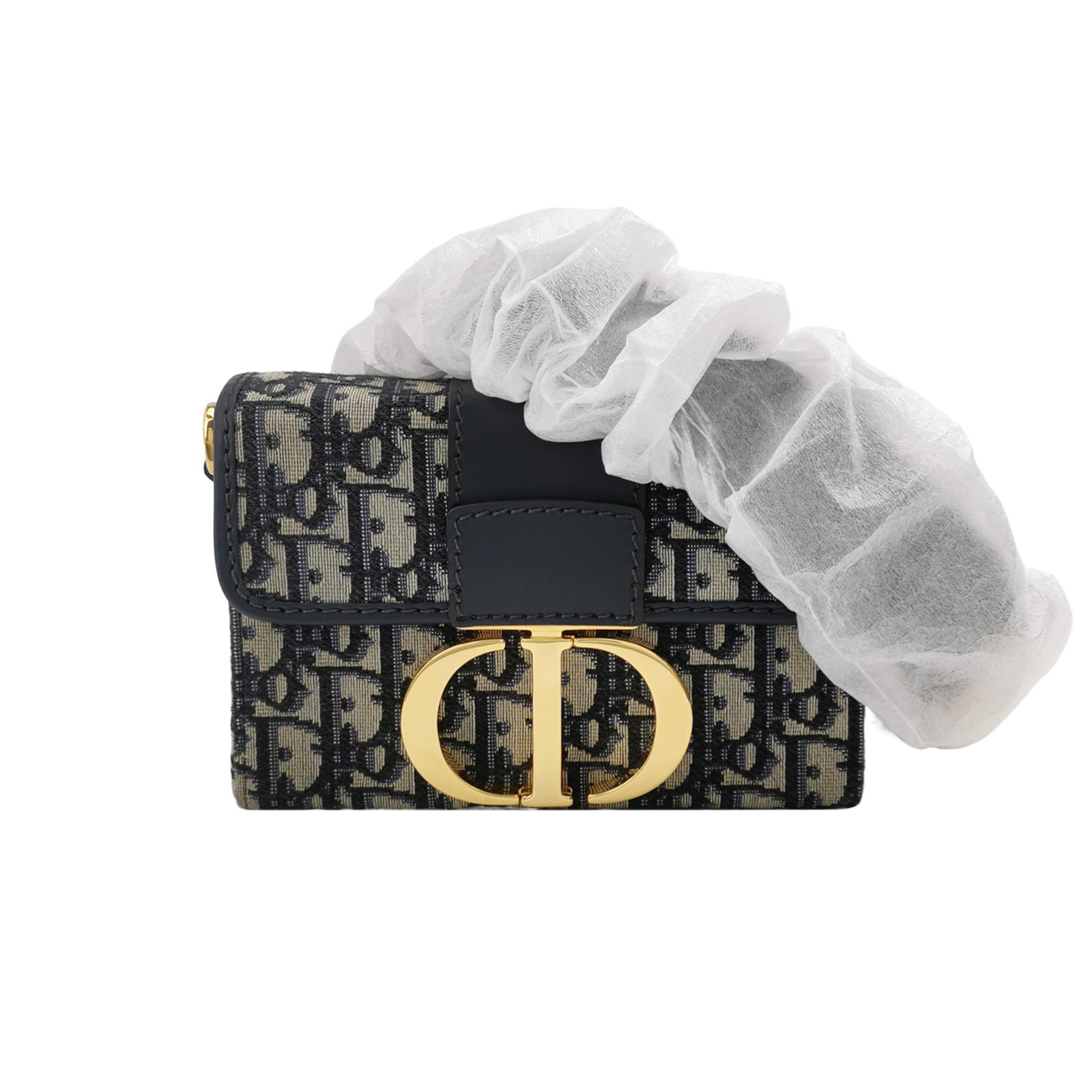 30montaigneobliquemonogram Canvas Cd