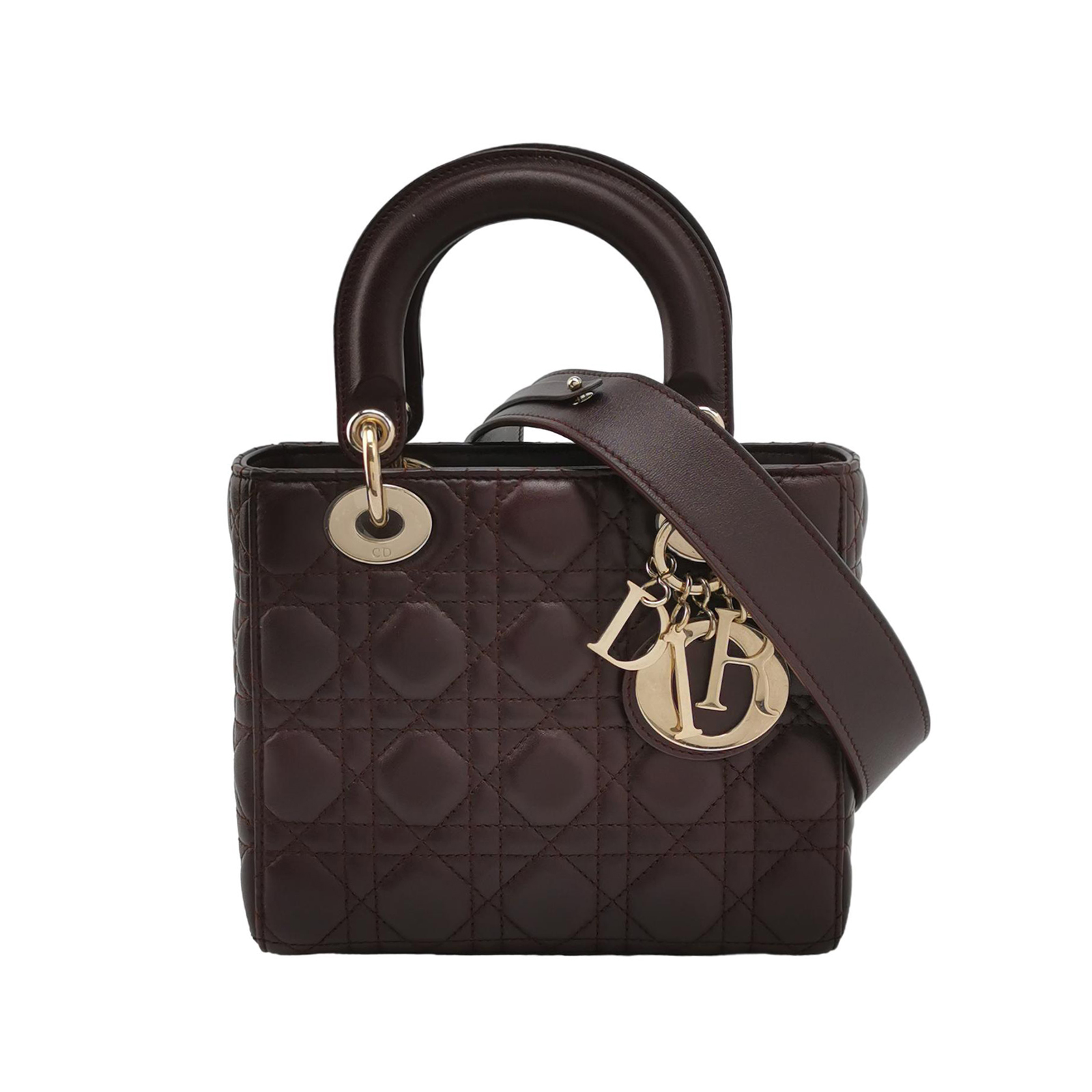 Lady Diorlogocrossbody Bag