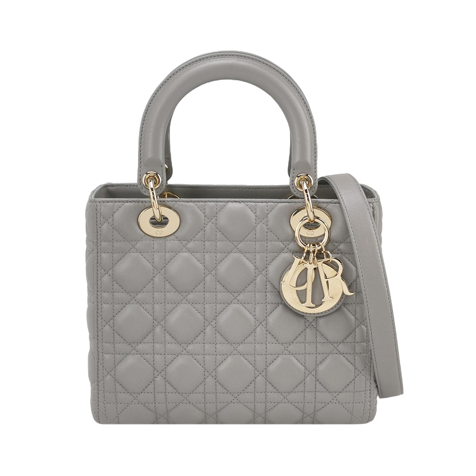 Lady Diorlogocrossbody Bag