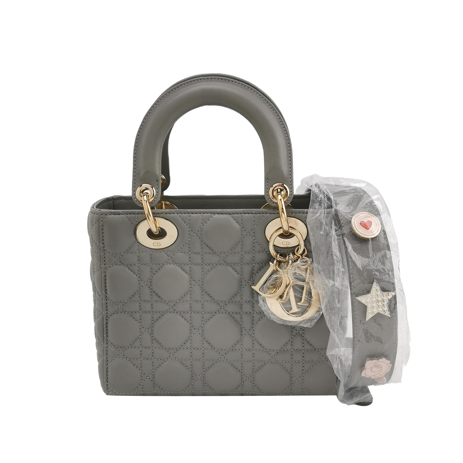 Lady Diorlogocrossbody Bag