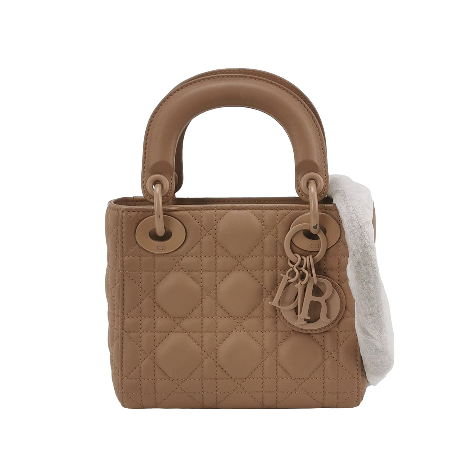 Lady Diorlogocrossbody Bag