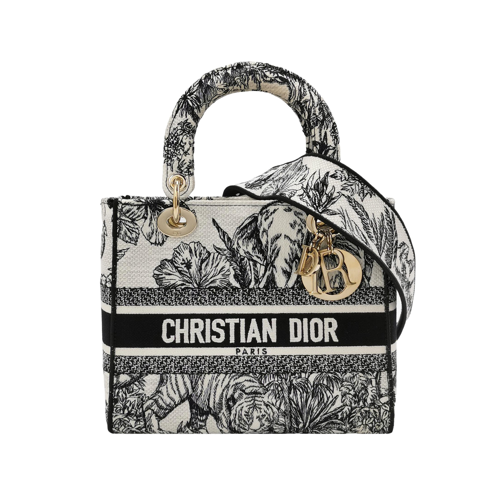 Lady Diorlogocrossbody Bag
