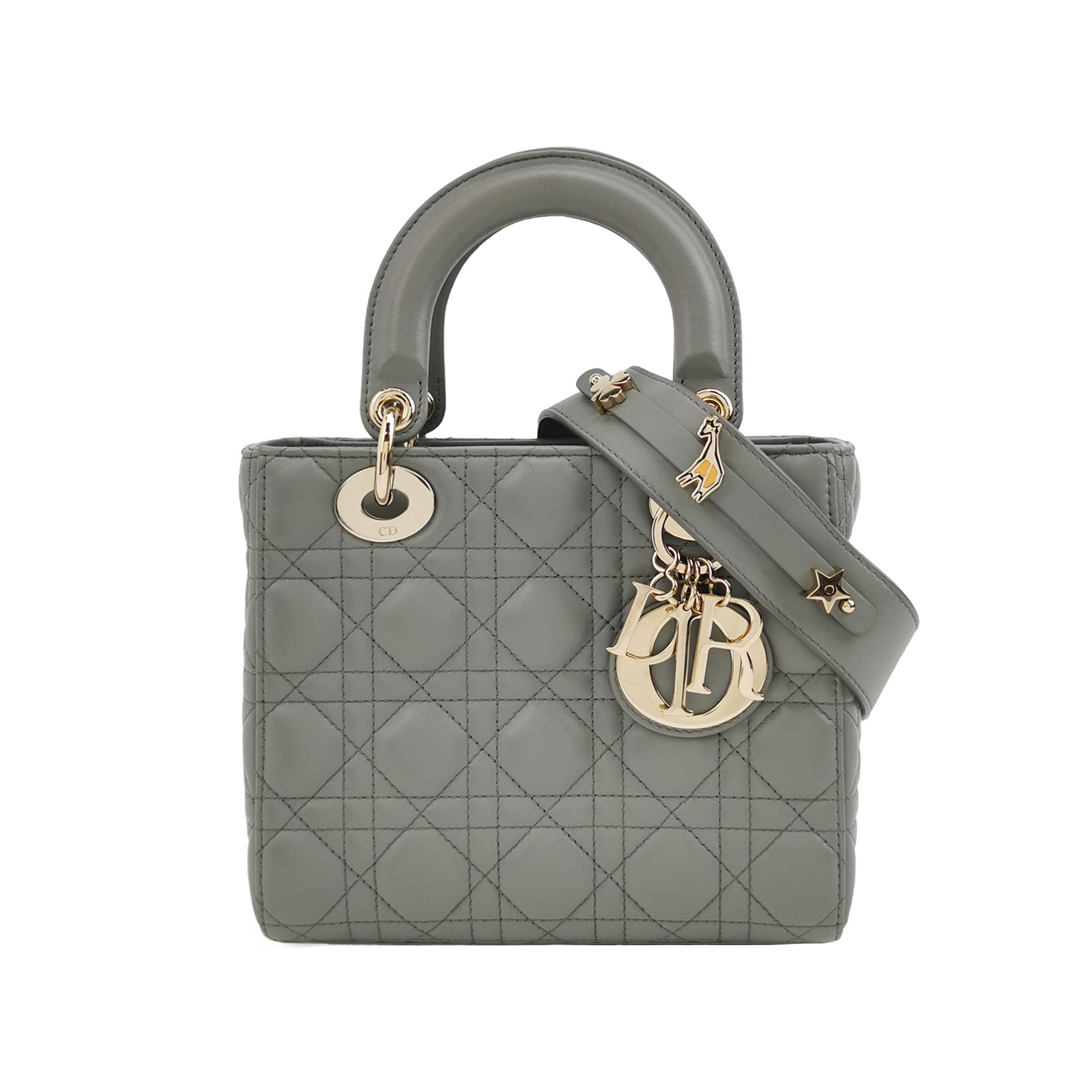 Lady Diorlogocrossbody Bag