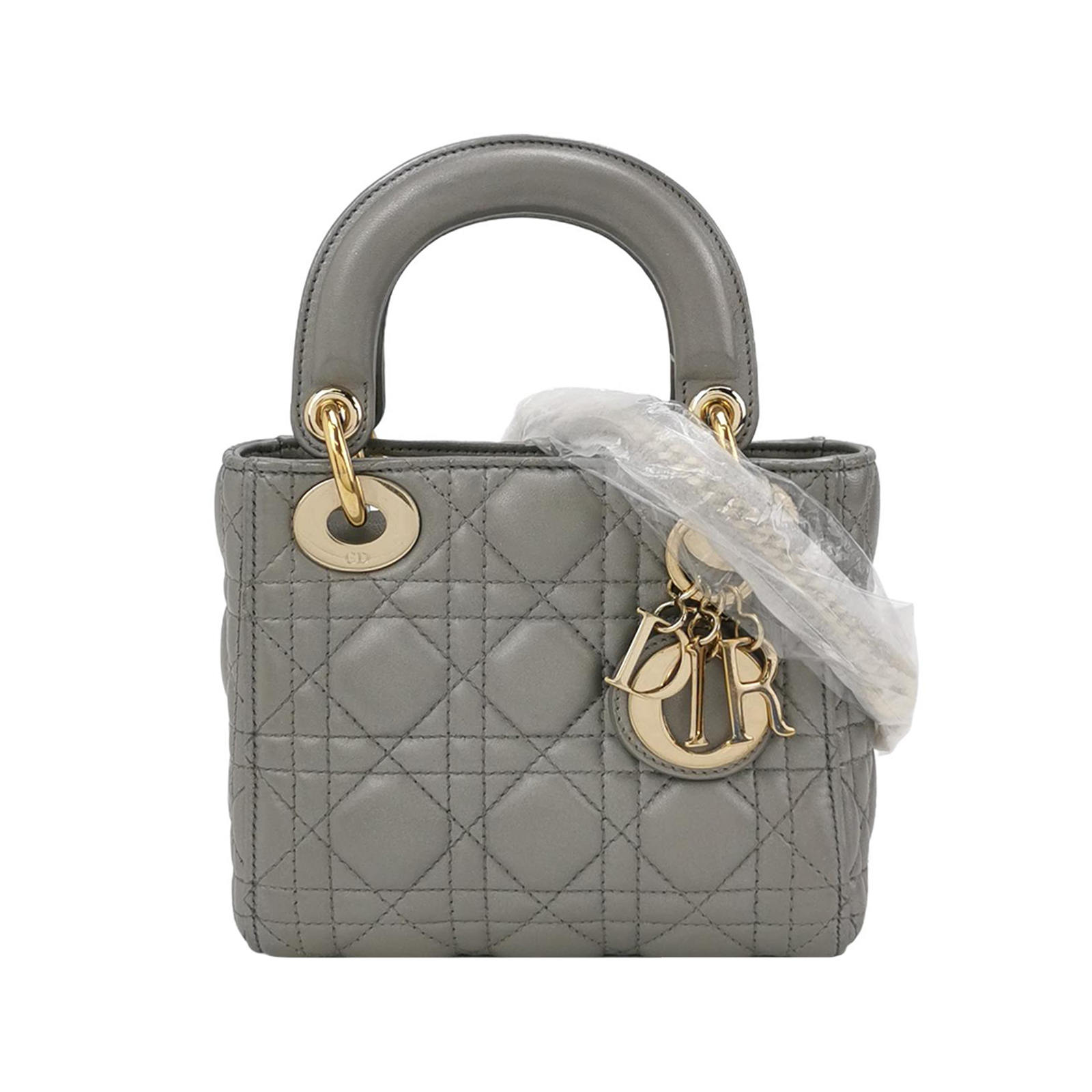 Lady Diorlogocrossbody Bag