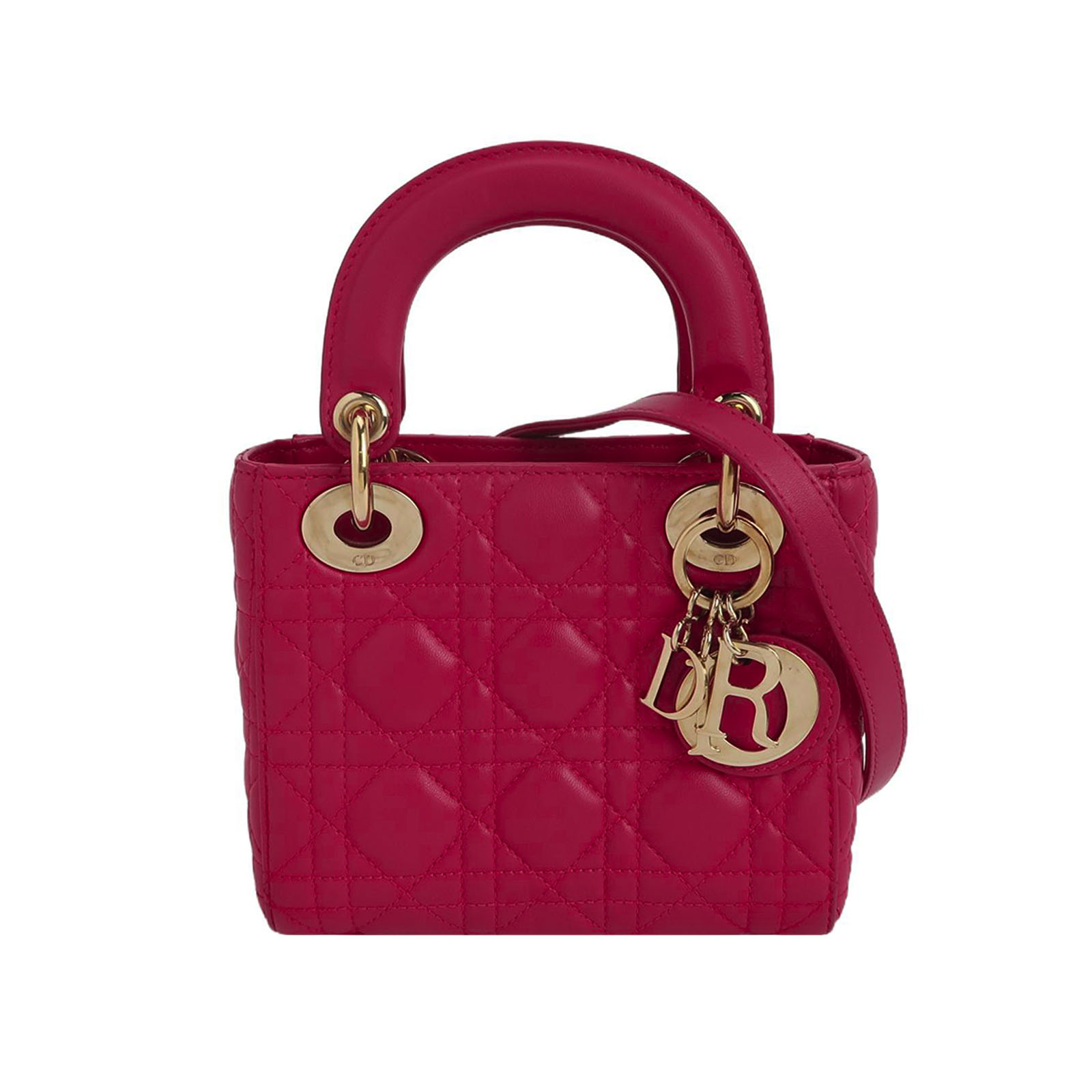 Lady Diorlogocrossbody Bag