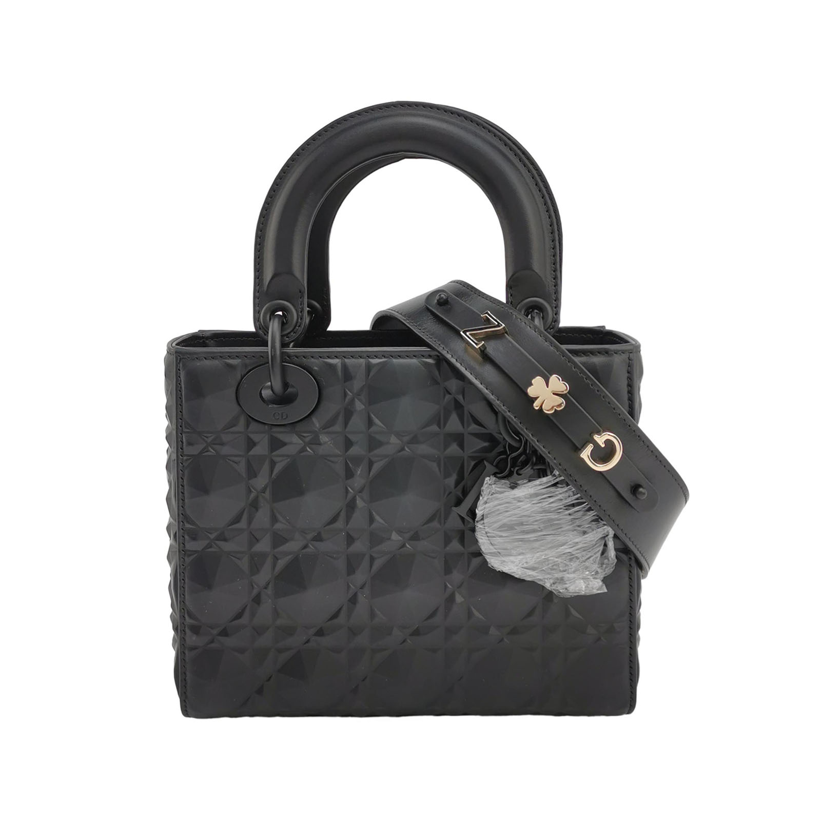 Lady Diorlogocrossbody Bag