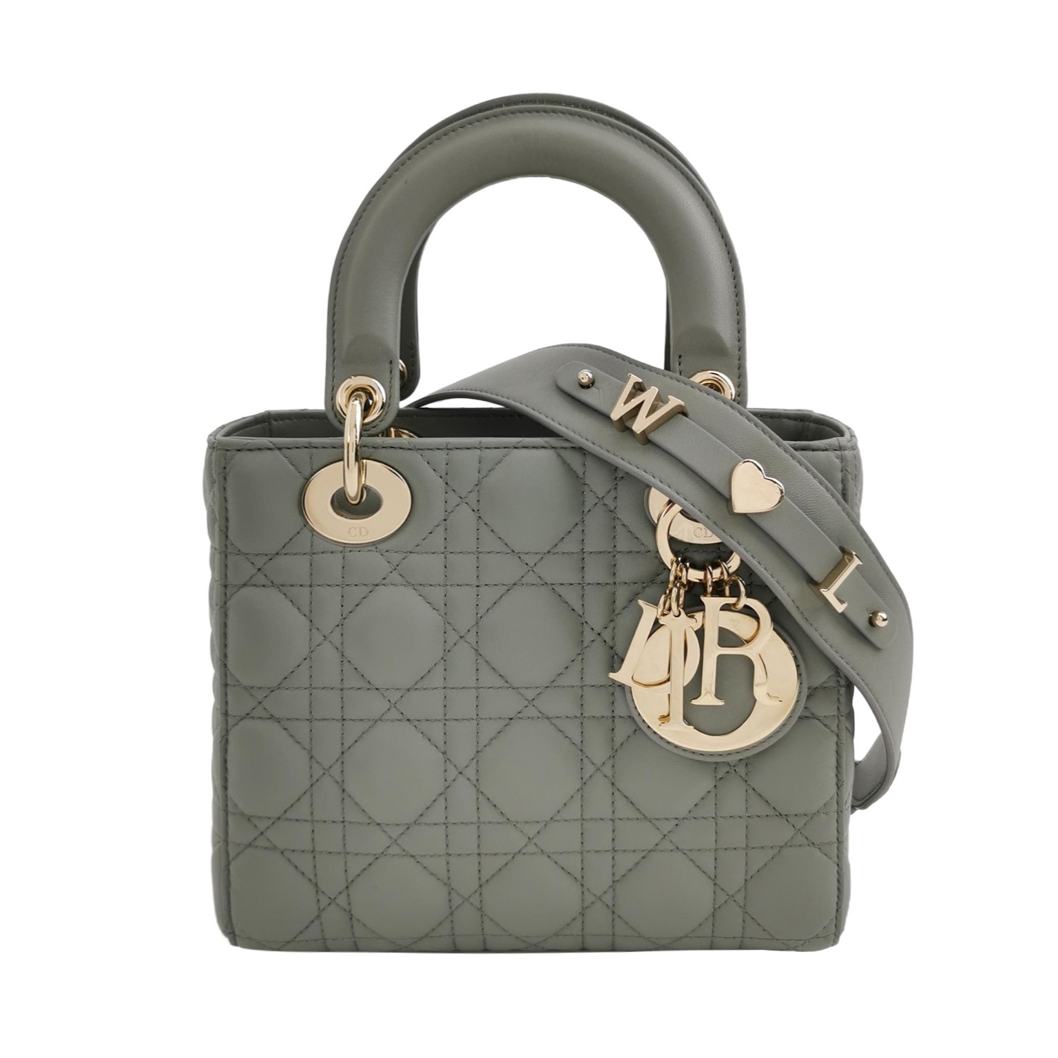 Lady Diorlogocrossbody Bag