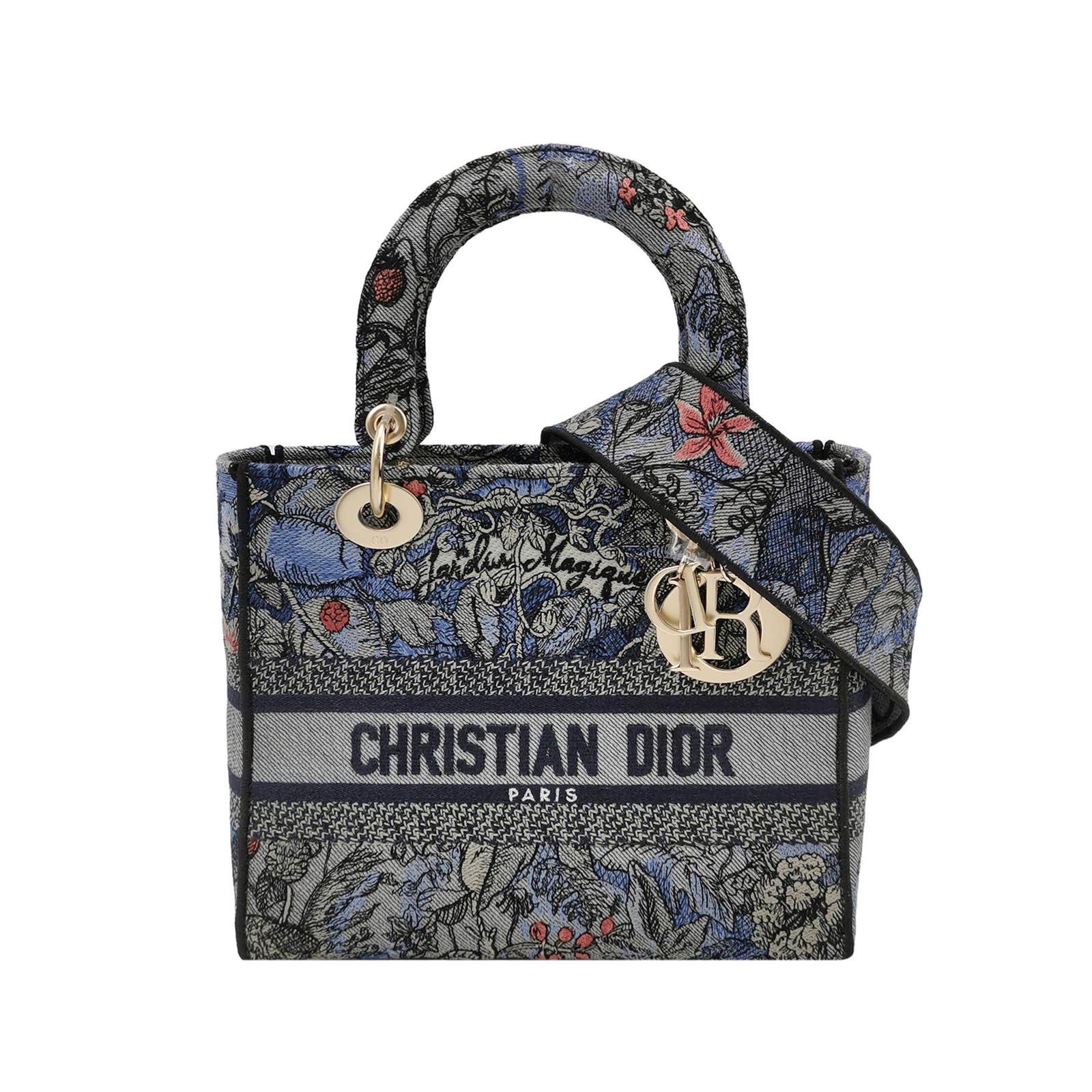 Lady Diorlogocrossbody Bag
