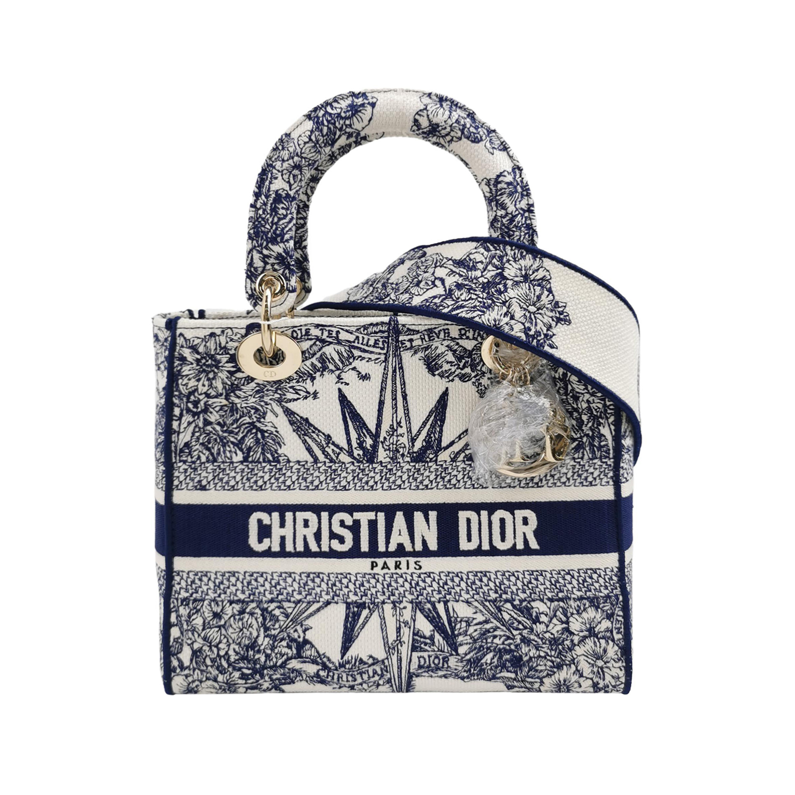 Lady Diorlogocrossbody Bag