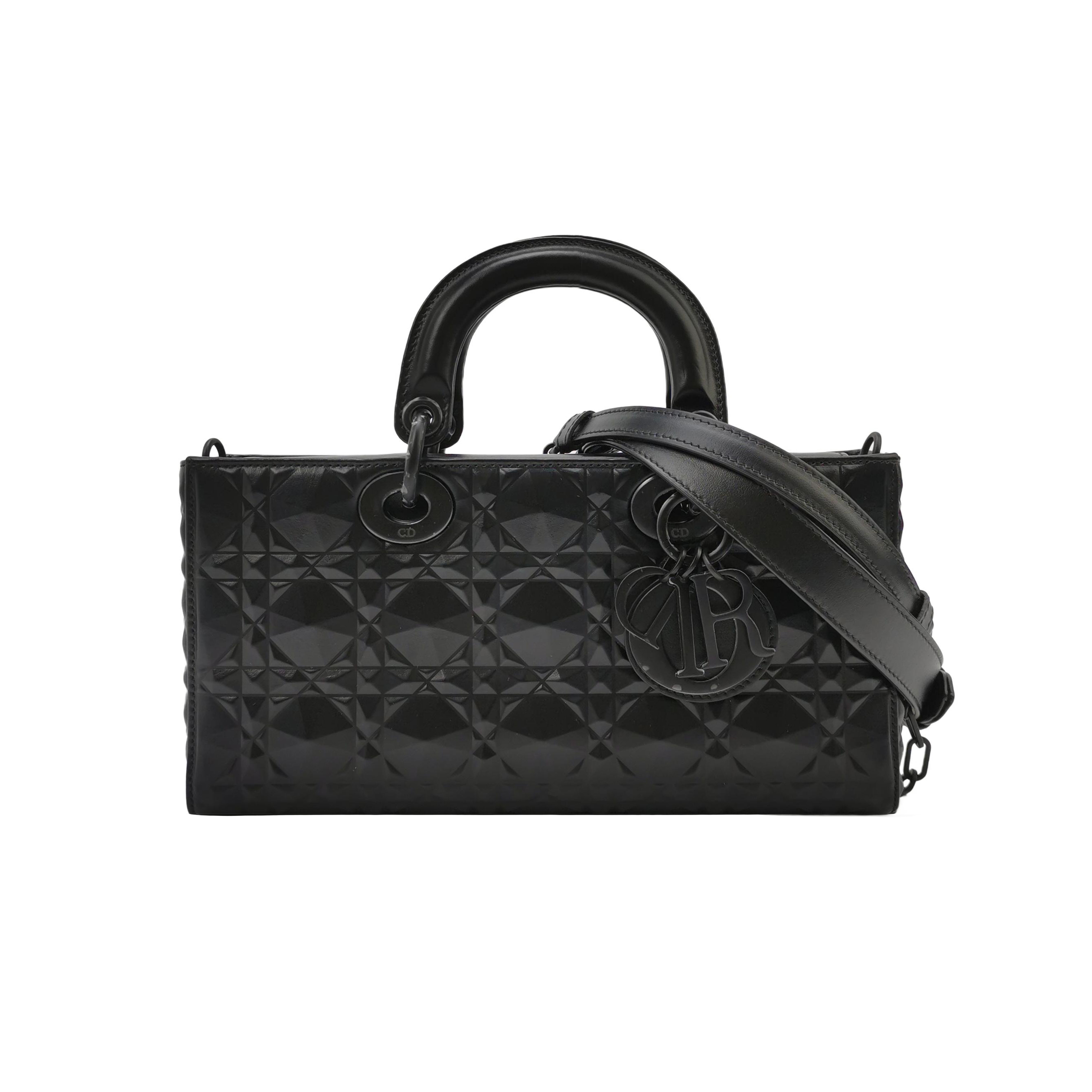 Lady Diorlogocrossbody Bag