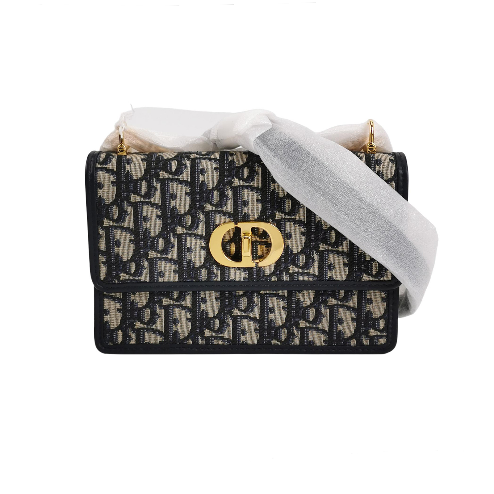 Caroobliquemonogram Canvas Cdcrossbody Bag