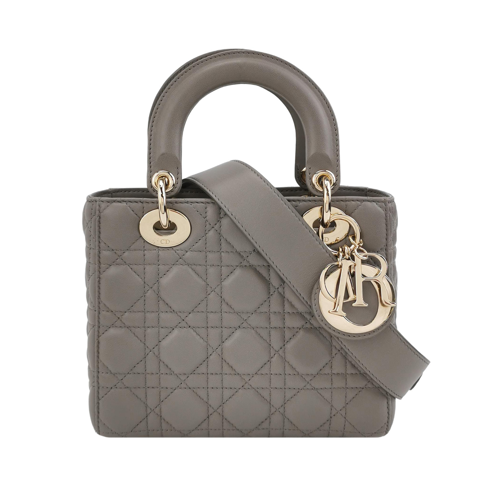 Lady Diorlogocrossbody Bag