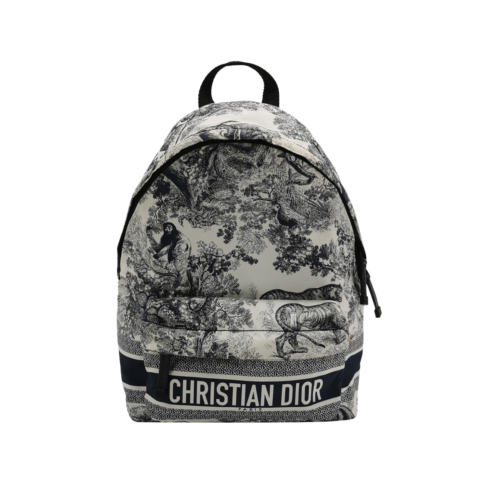 Dior Travellogobackpack