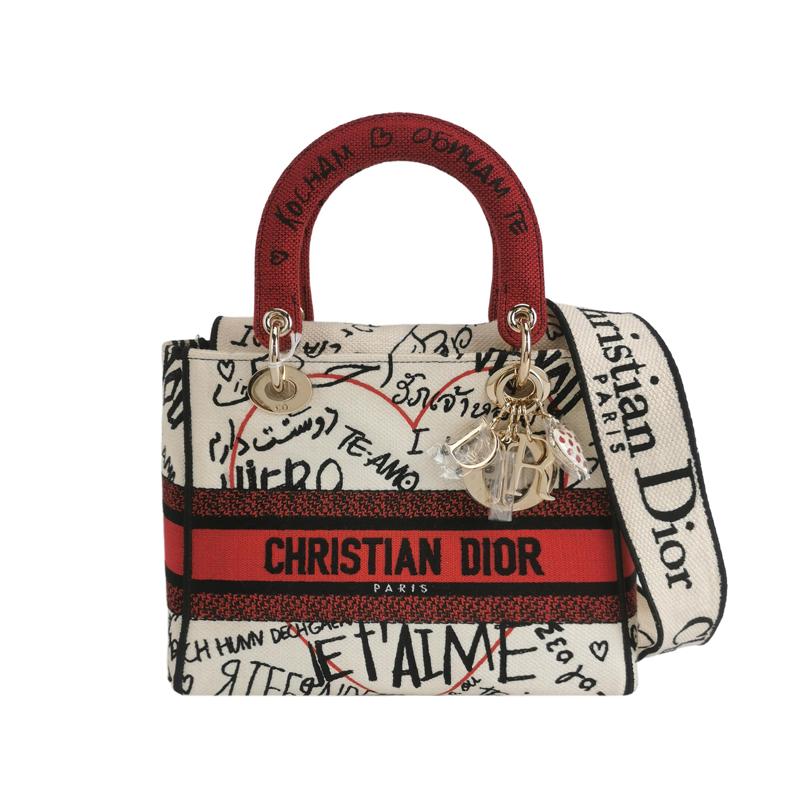 Lady Diorlogocrossbody Bag