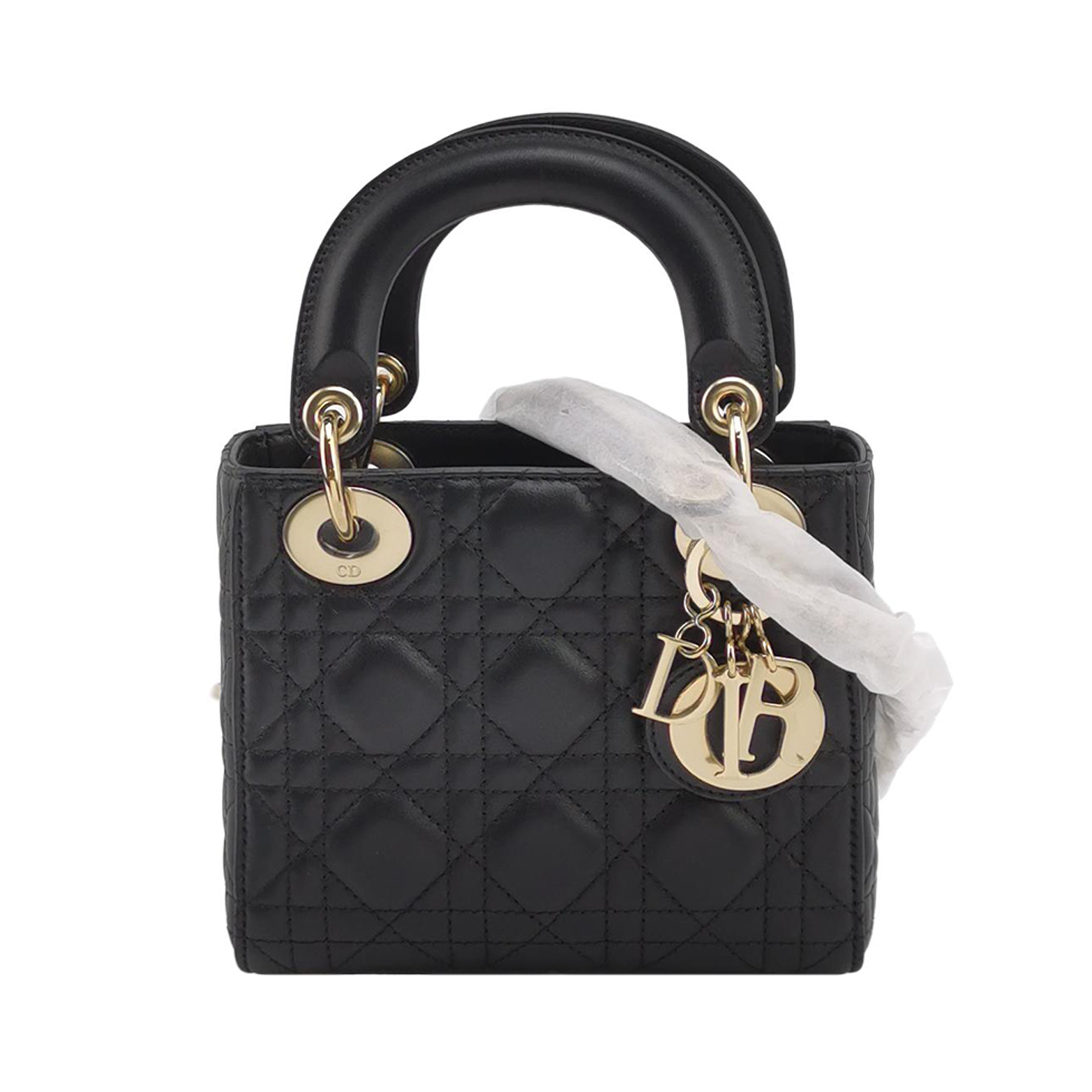 Lady Diorlogocrossbody Bag