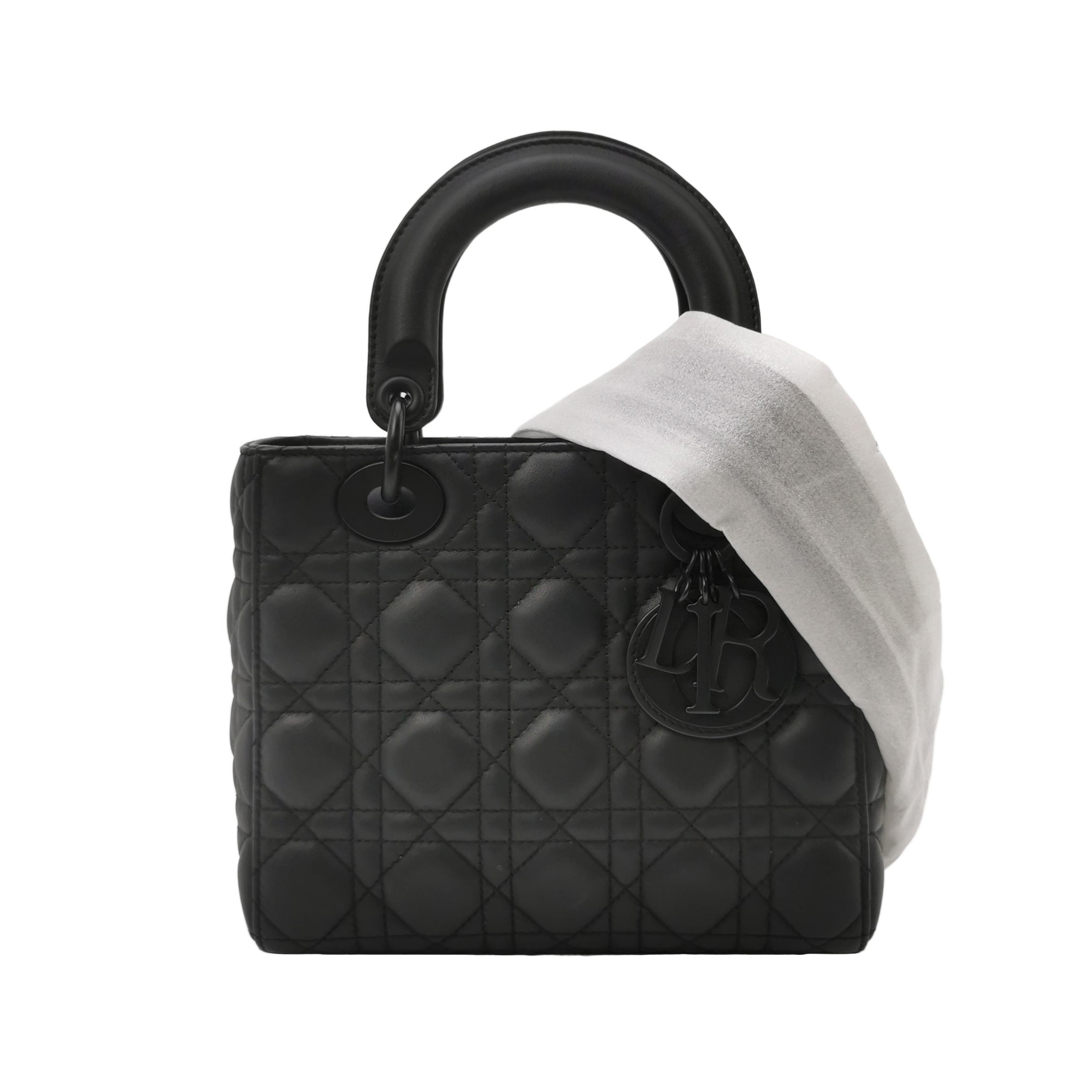 Lady Diorlogocrossbody Bag