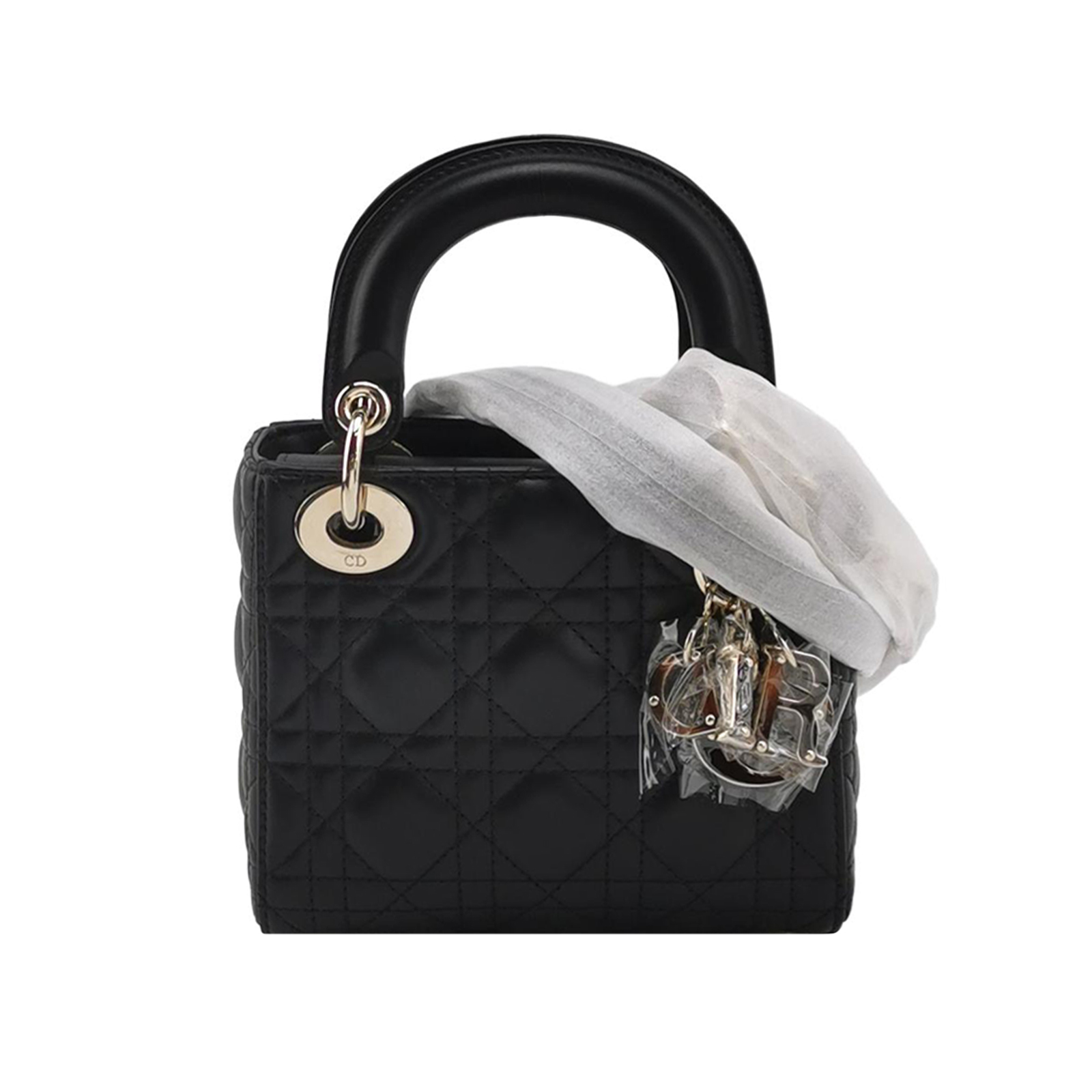 Lady Diorlogohandbag