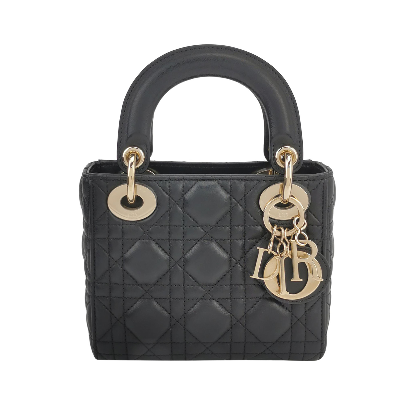 Lady Diorlogohandbag