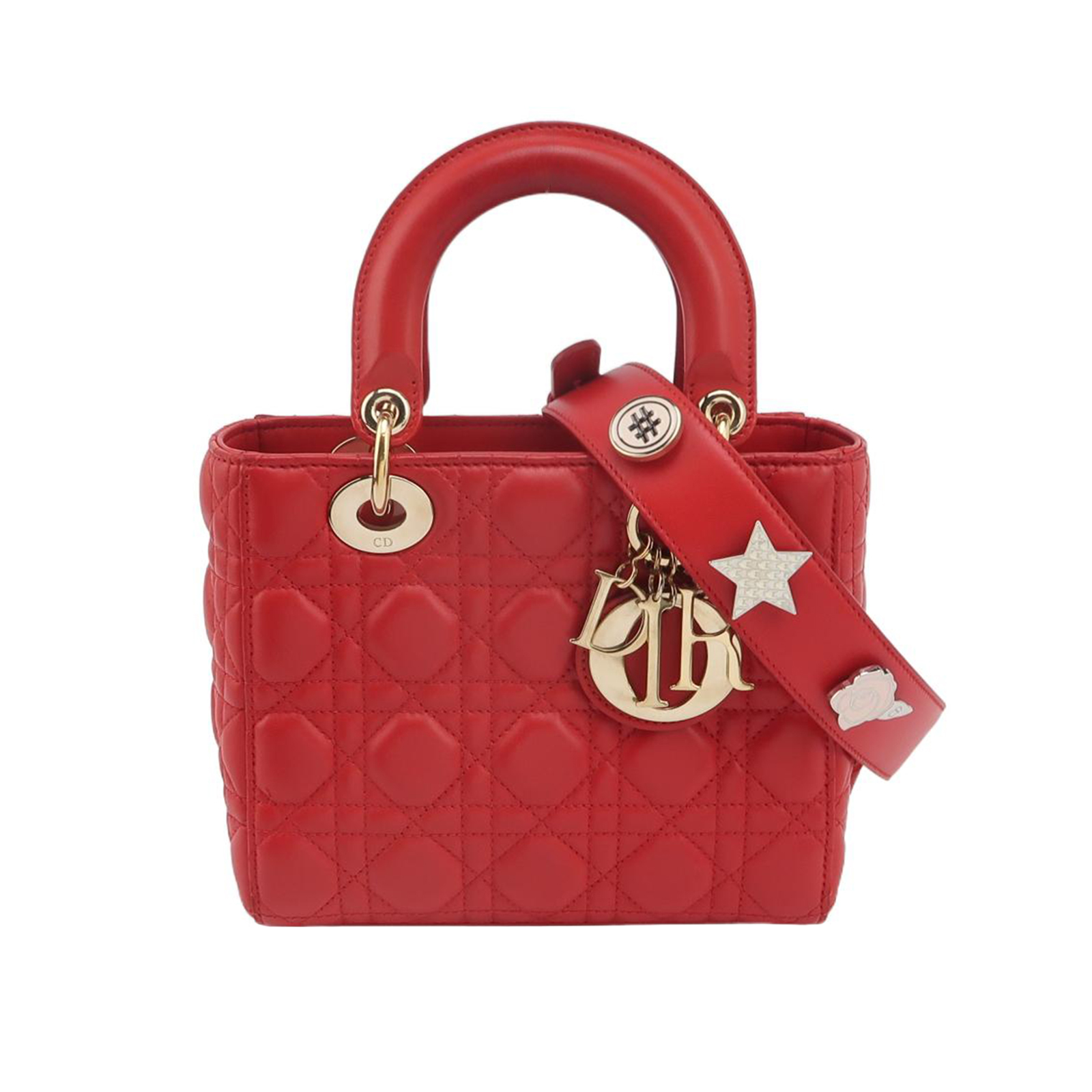 Lady Diorlogocrossbody Bag