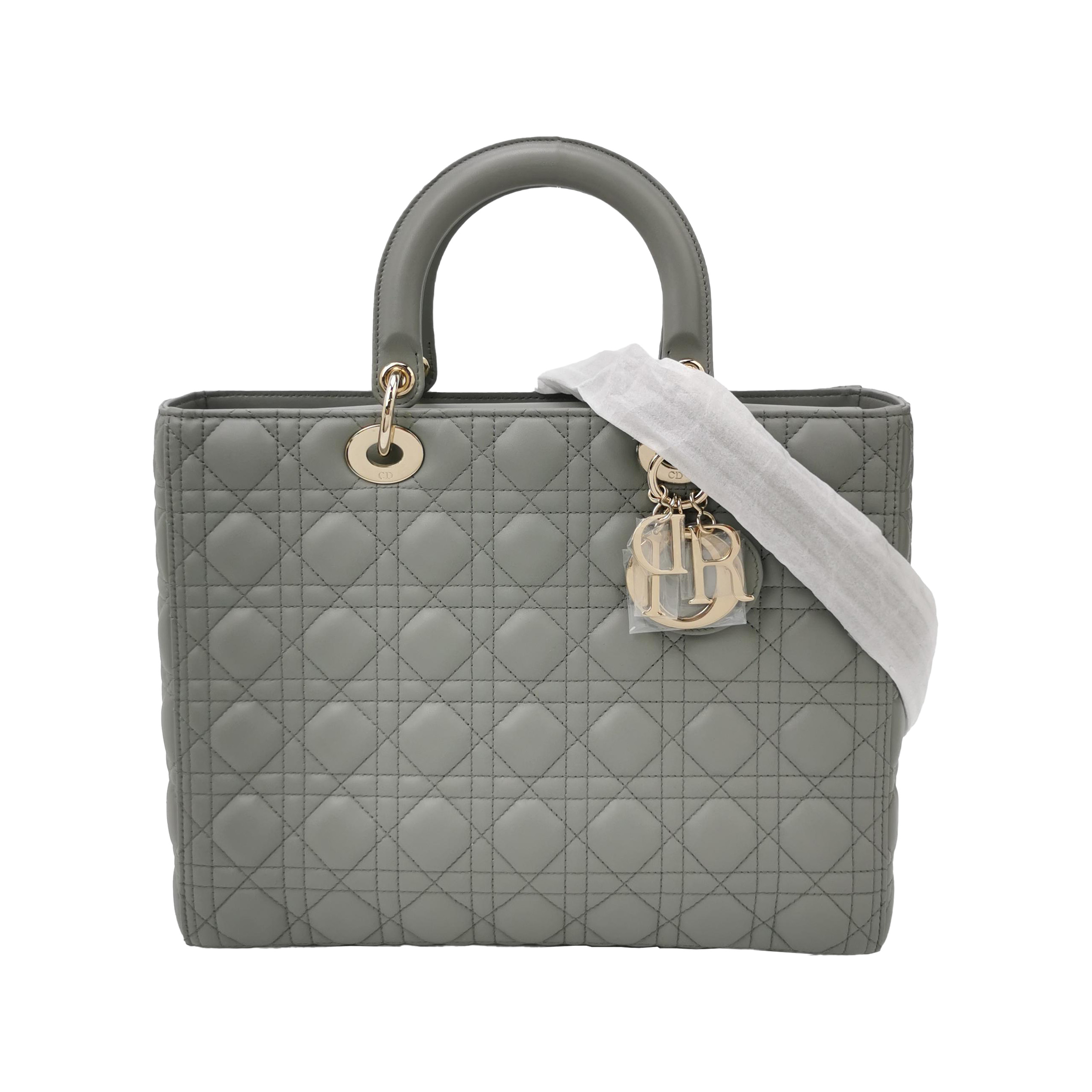Lady Diorlogohandbag