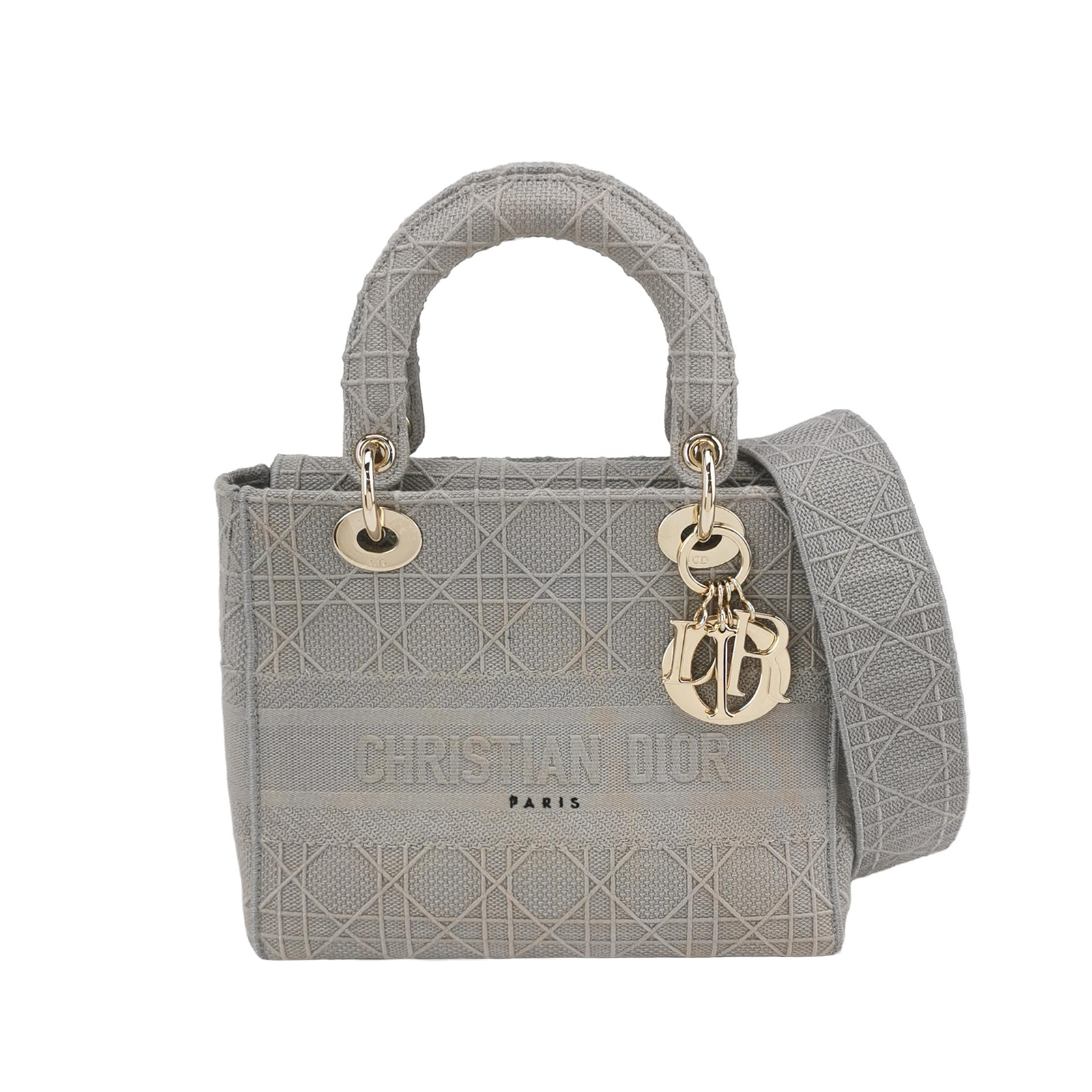 Lady Diorlogocrossbody Bag