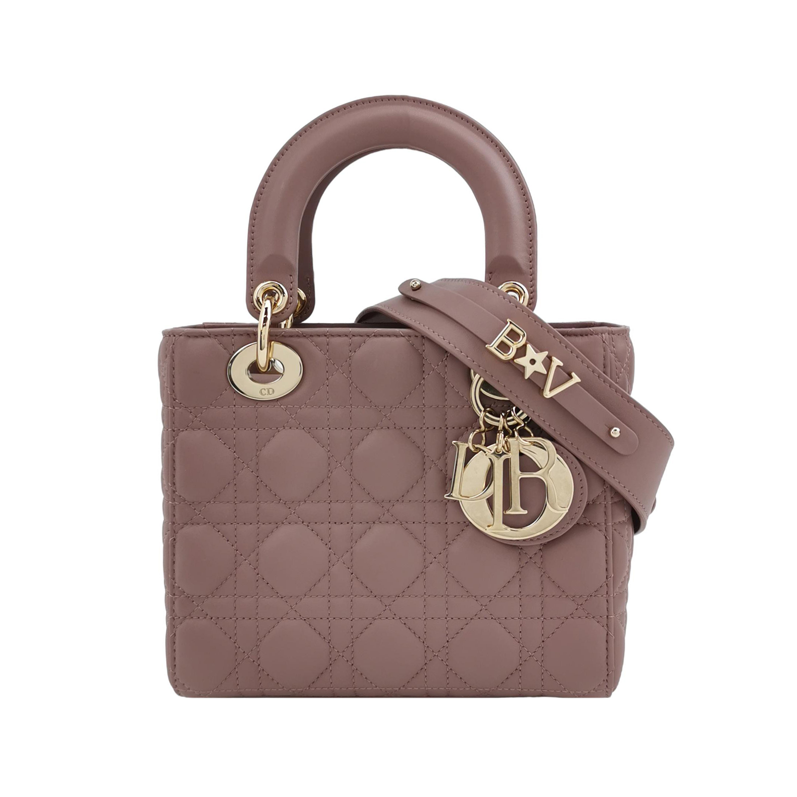 Lady Diorlogocrossbody Bag