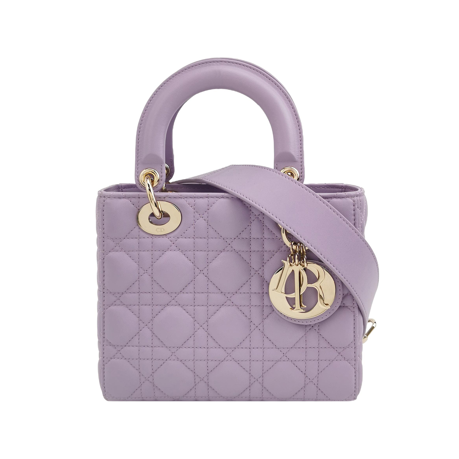 Lady Diorlogocrossbody Bag