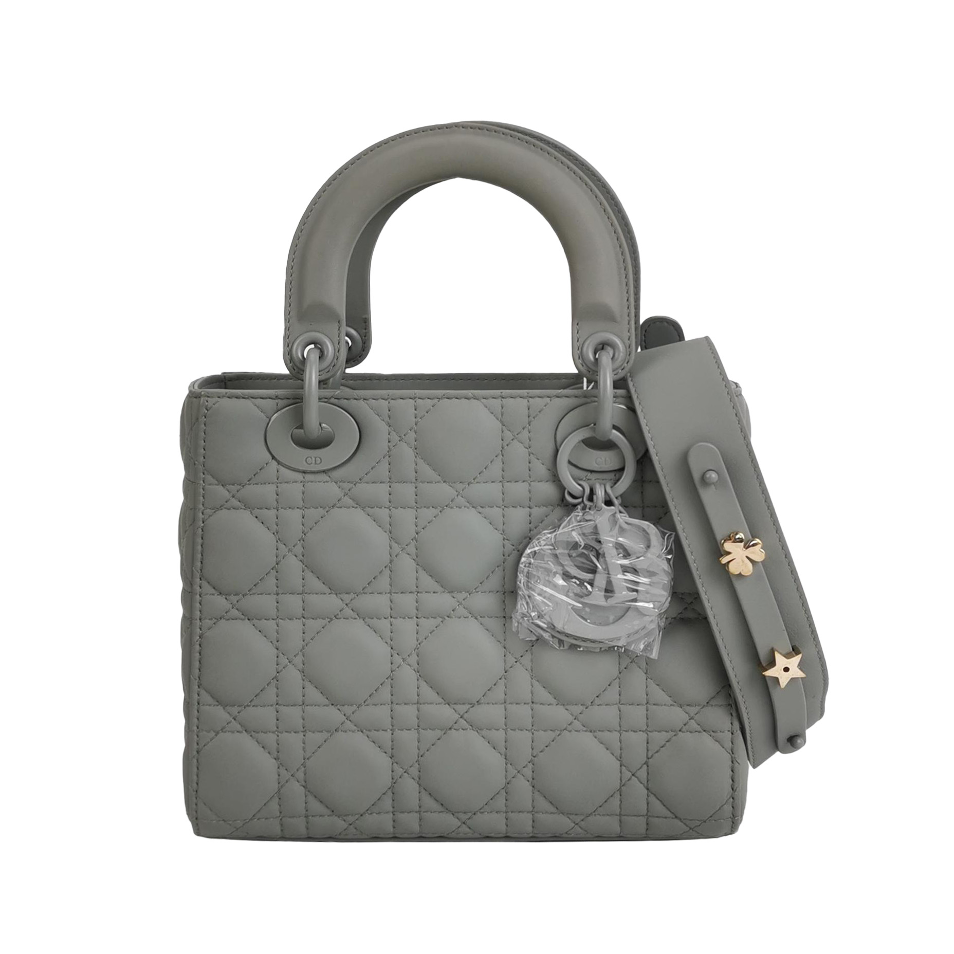 Lady Diorlogocrossbody Bag