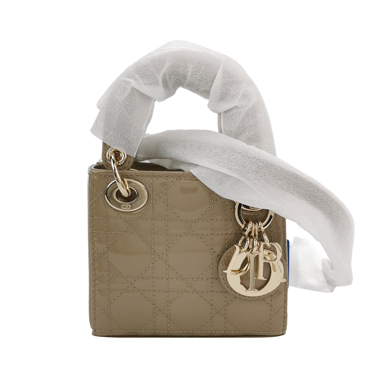 Lady Diorpatent Leather Logohandbag