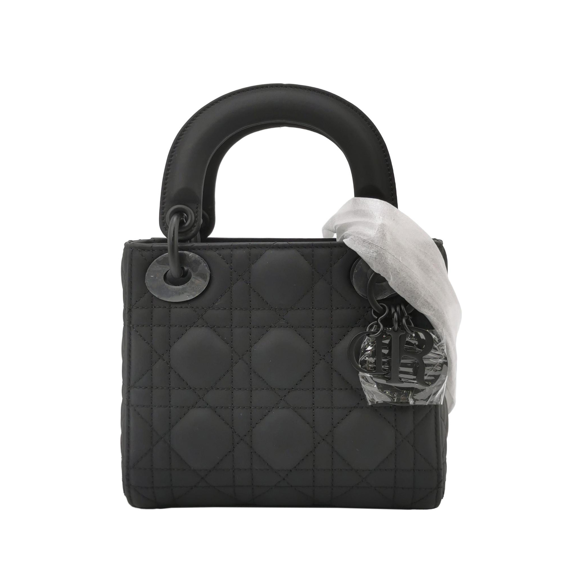 Lady Diorlogocrossbody Bag