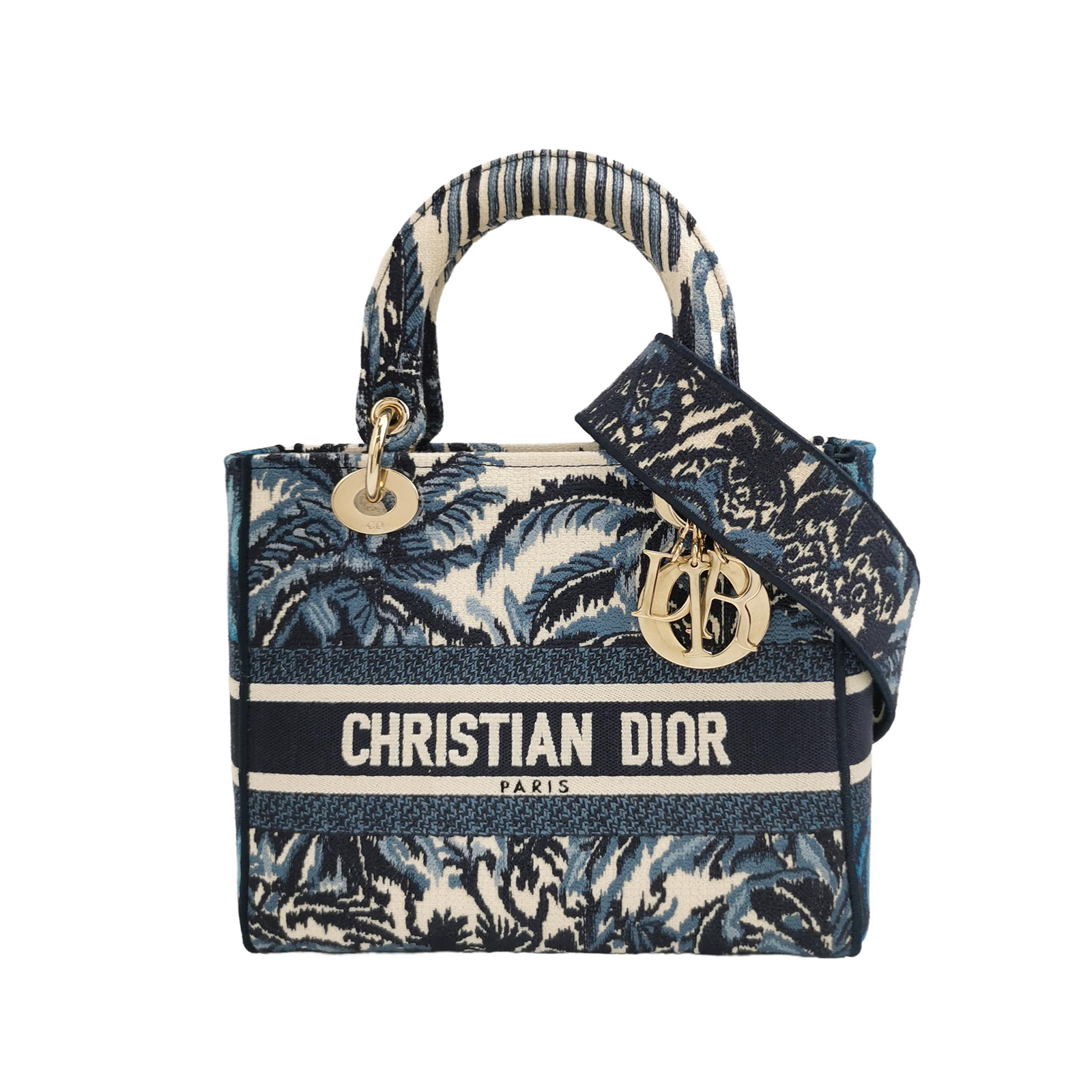 Lady Diorlogocrossbody Bag