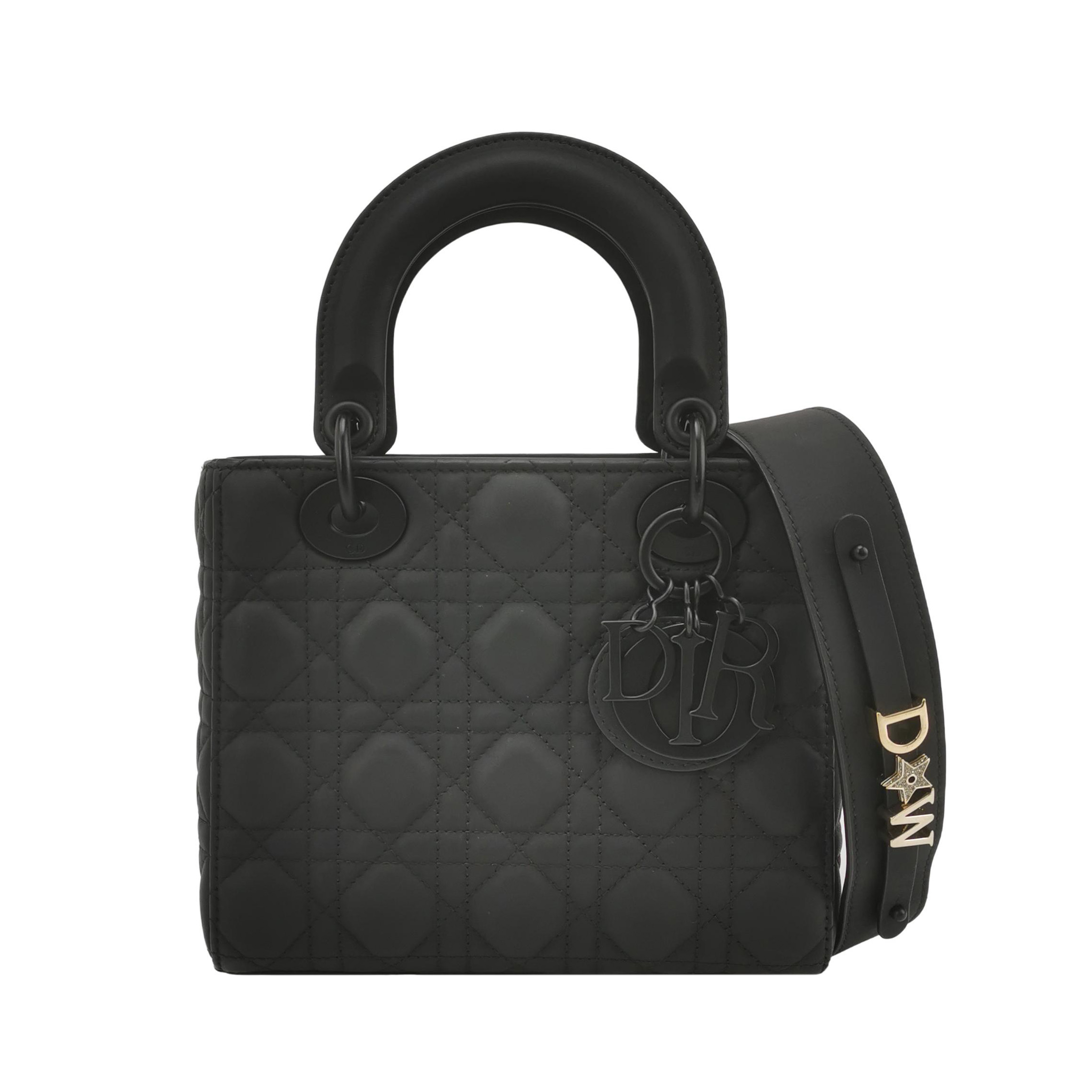 Lady Diorlogocrossbody Bag