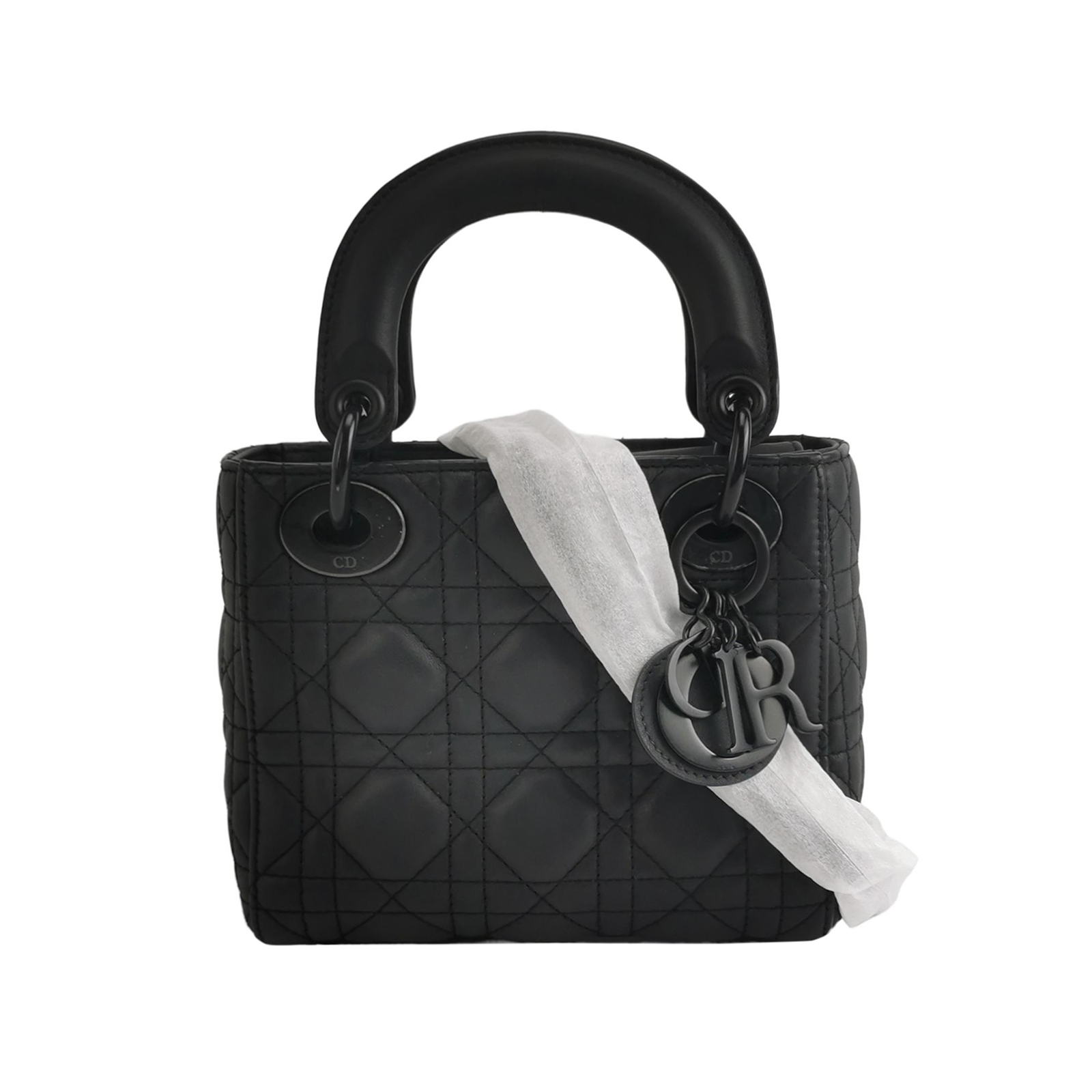 Lady Diorlogocrossbody Bag