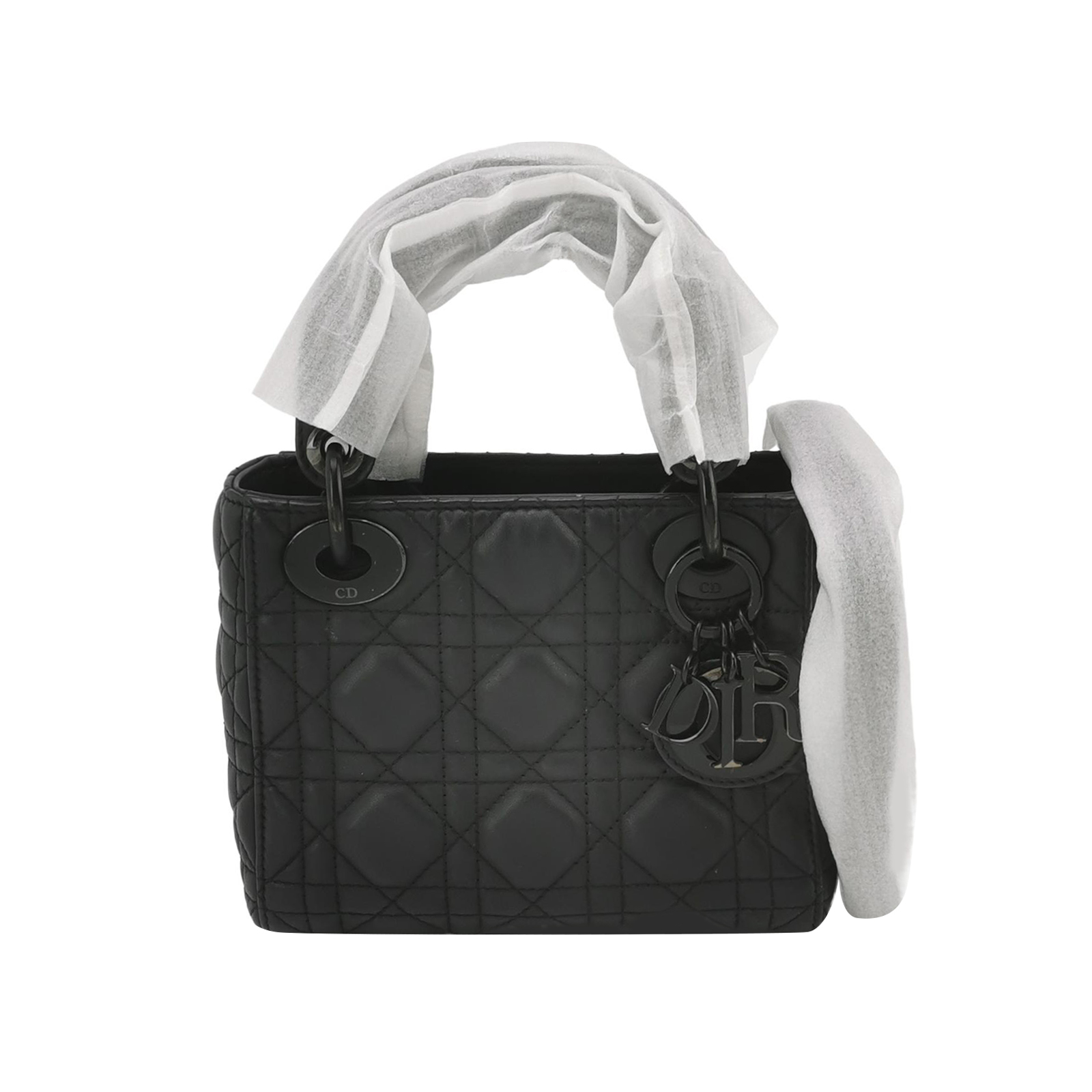 Lady Diorlogocrossbody Bag