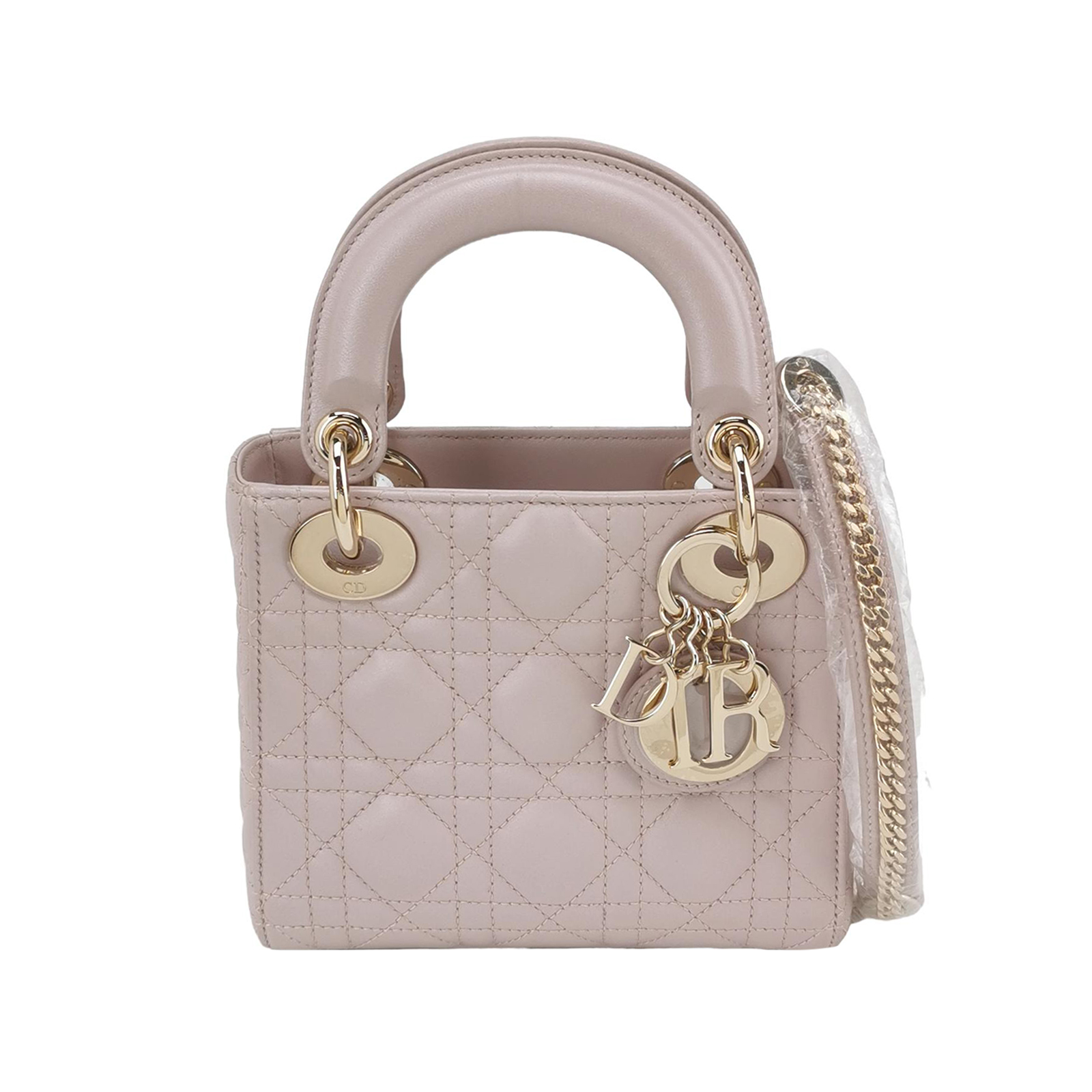 Lady Diorlogocrossbody Bag