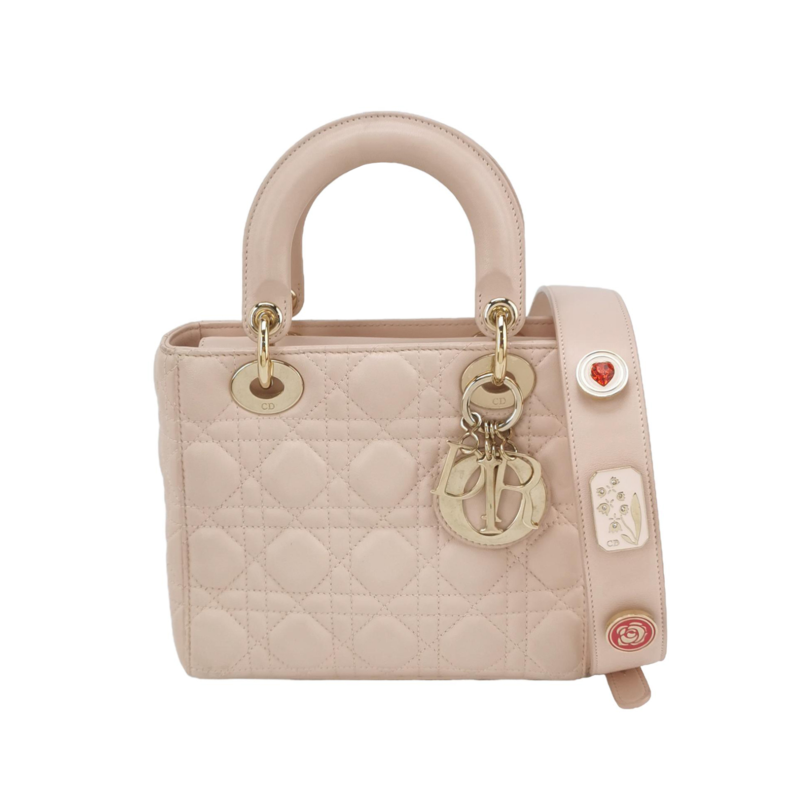 Lady Diorlogocrossbody Bag