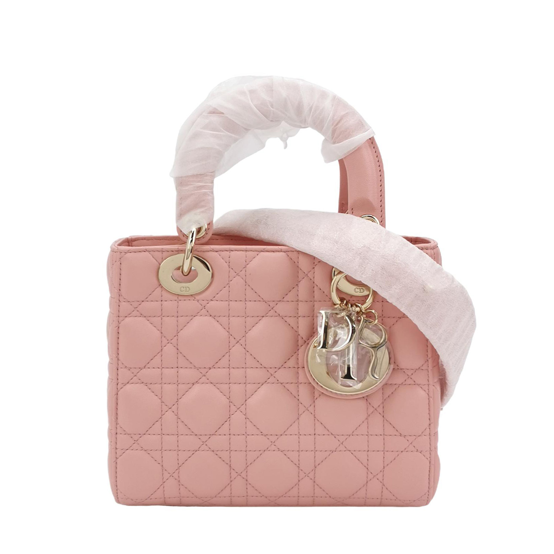 Lady Diorlogocrossbody Bag