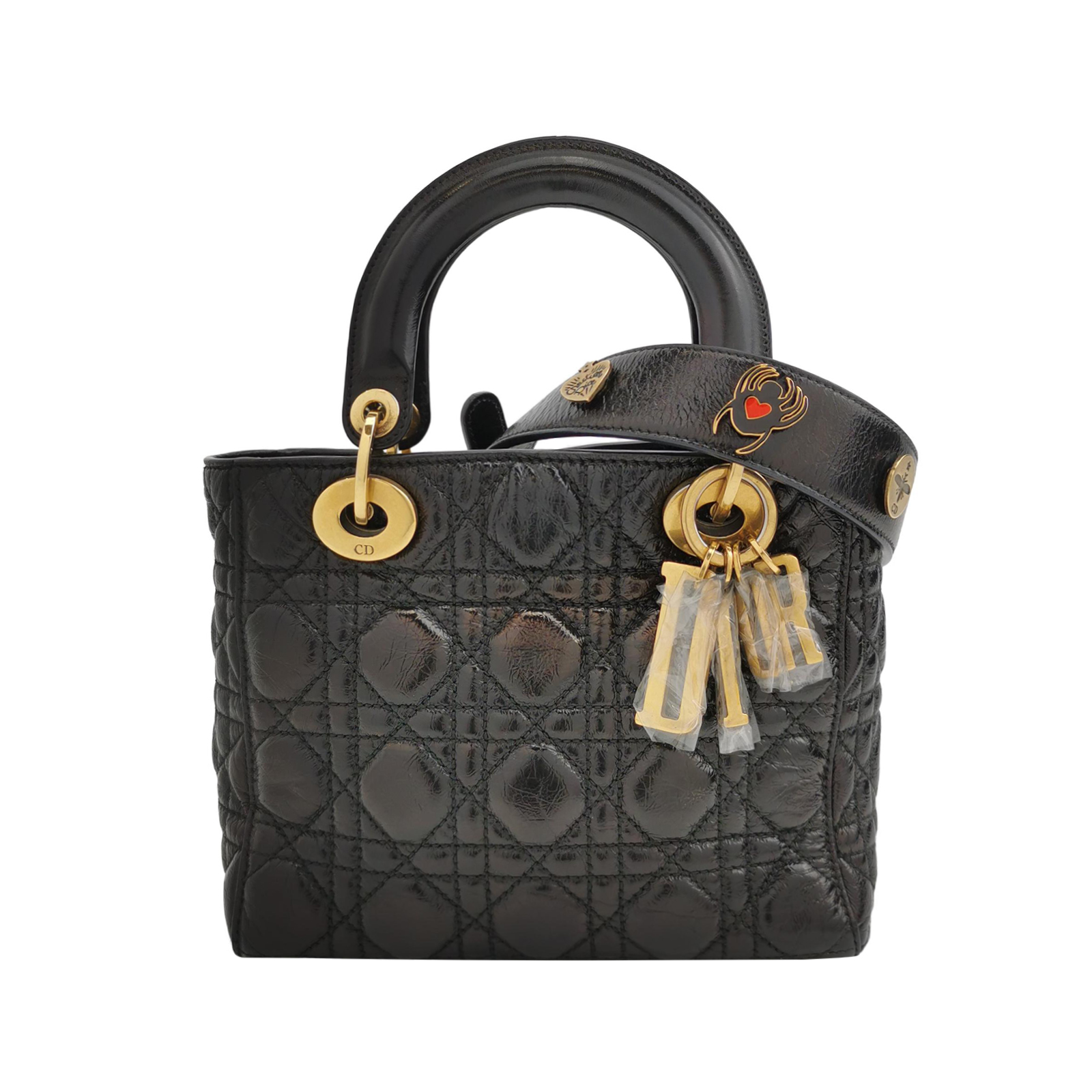 Lady Diorlogocrossbody Bag