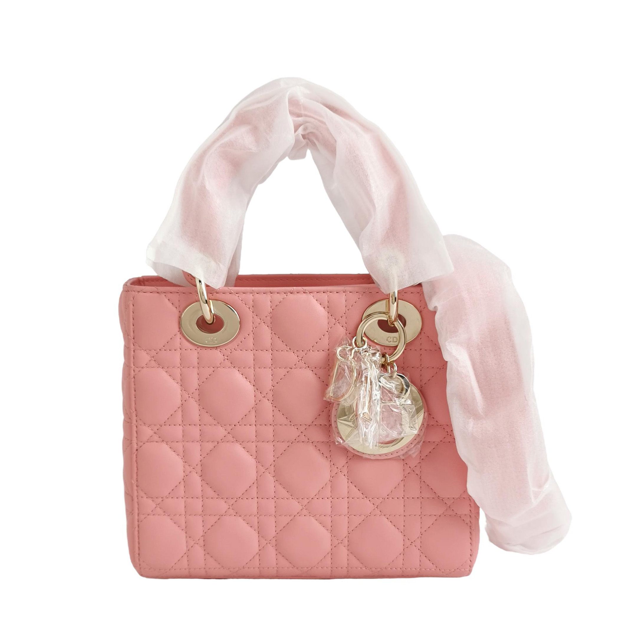 Lady Diorlogohandbag