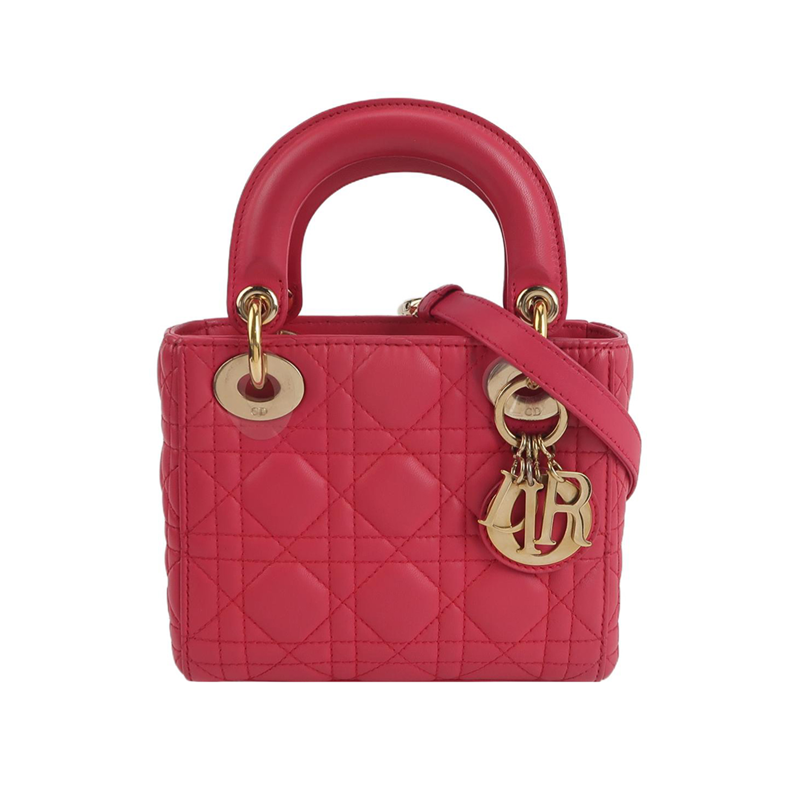 Lady Diorlogocrossbody Bag