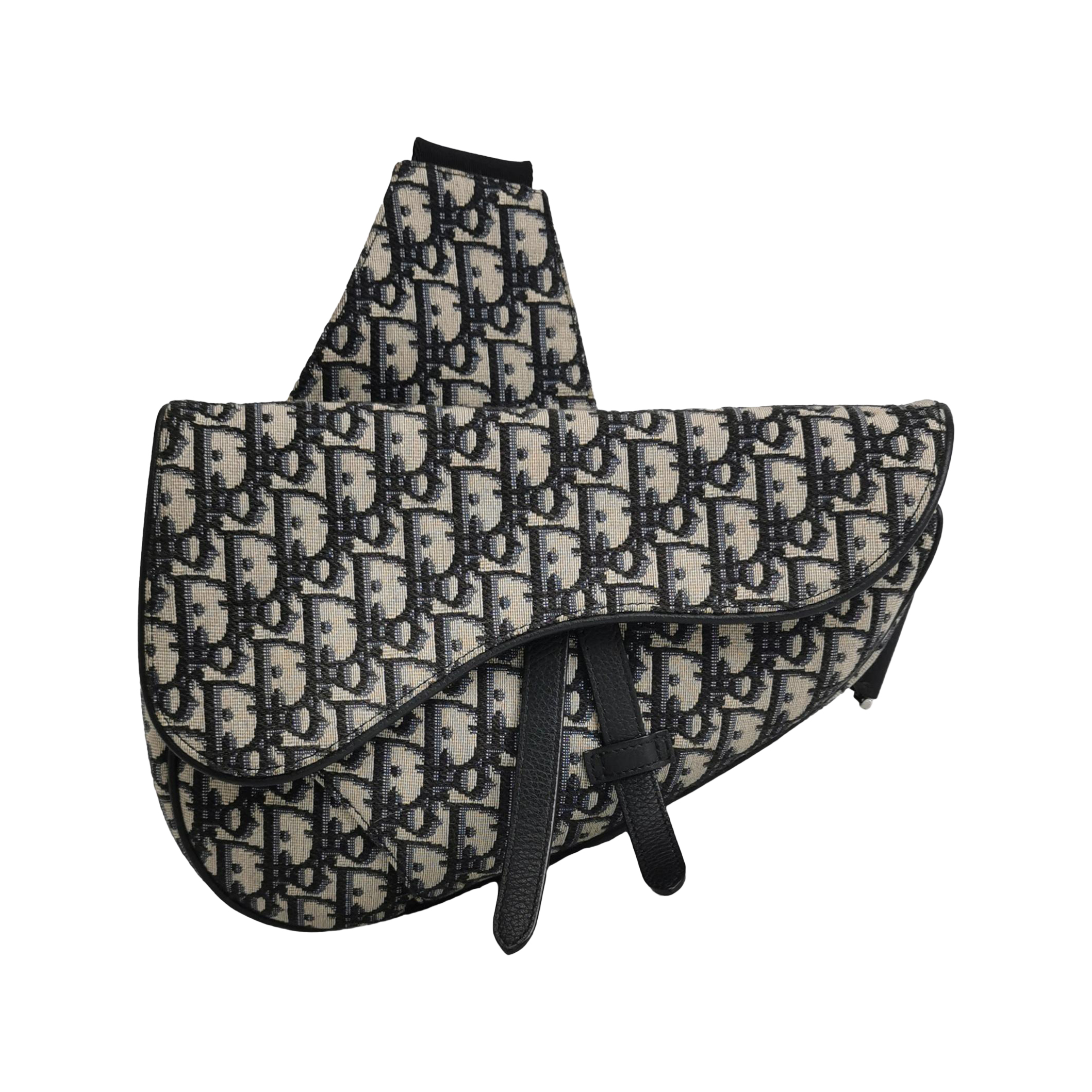 Saddleobliquemonogram Canvas Crossbody Bag