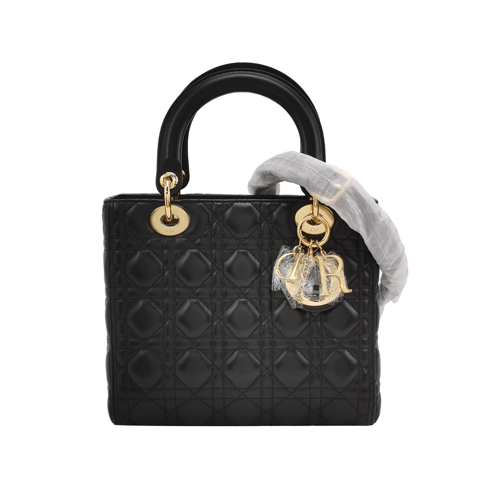 Lady Diorlogocrossbody Bag