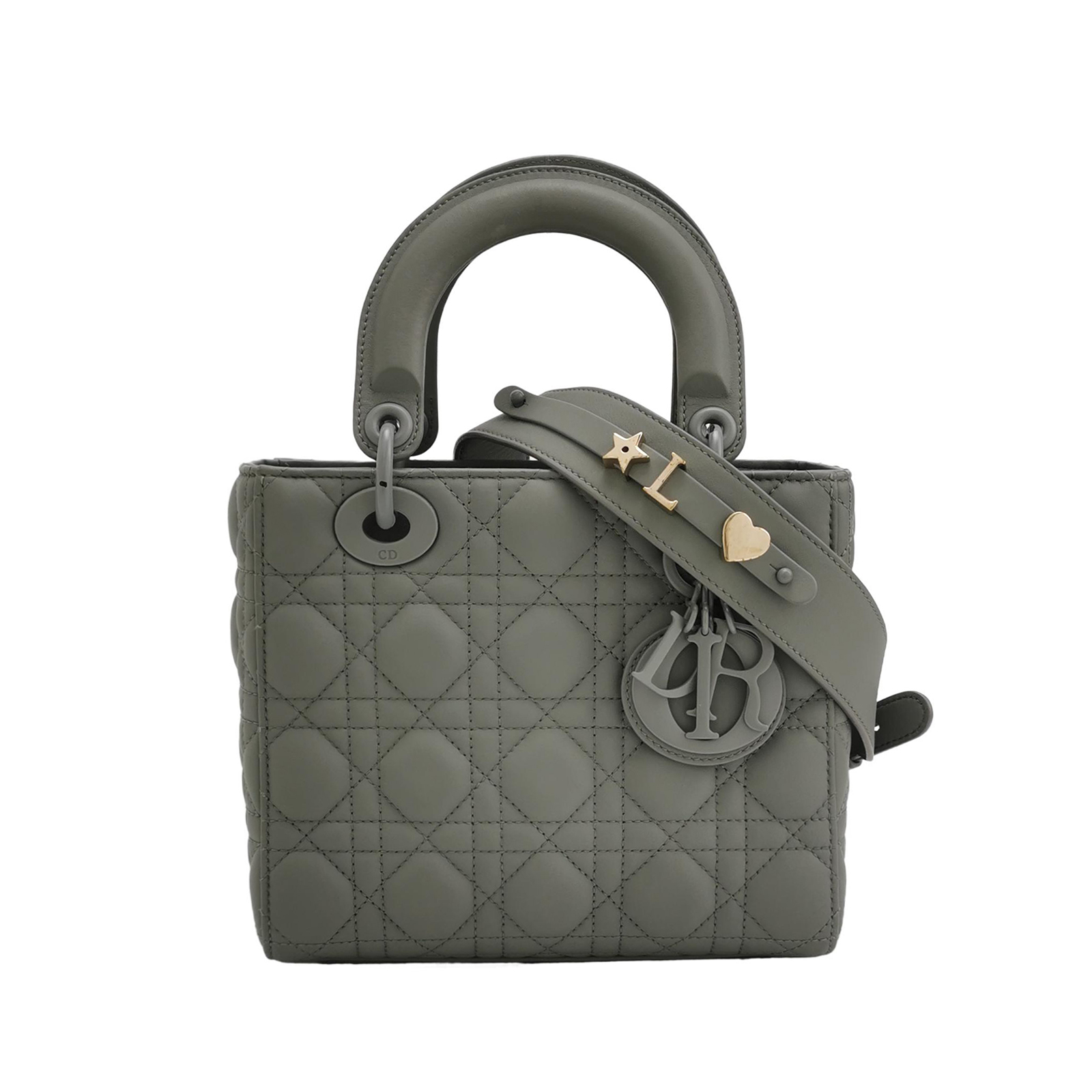 Lady Diorlogocrossbody Bag