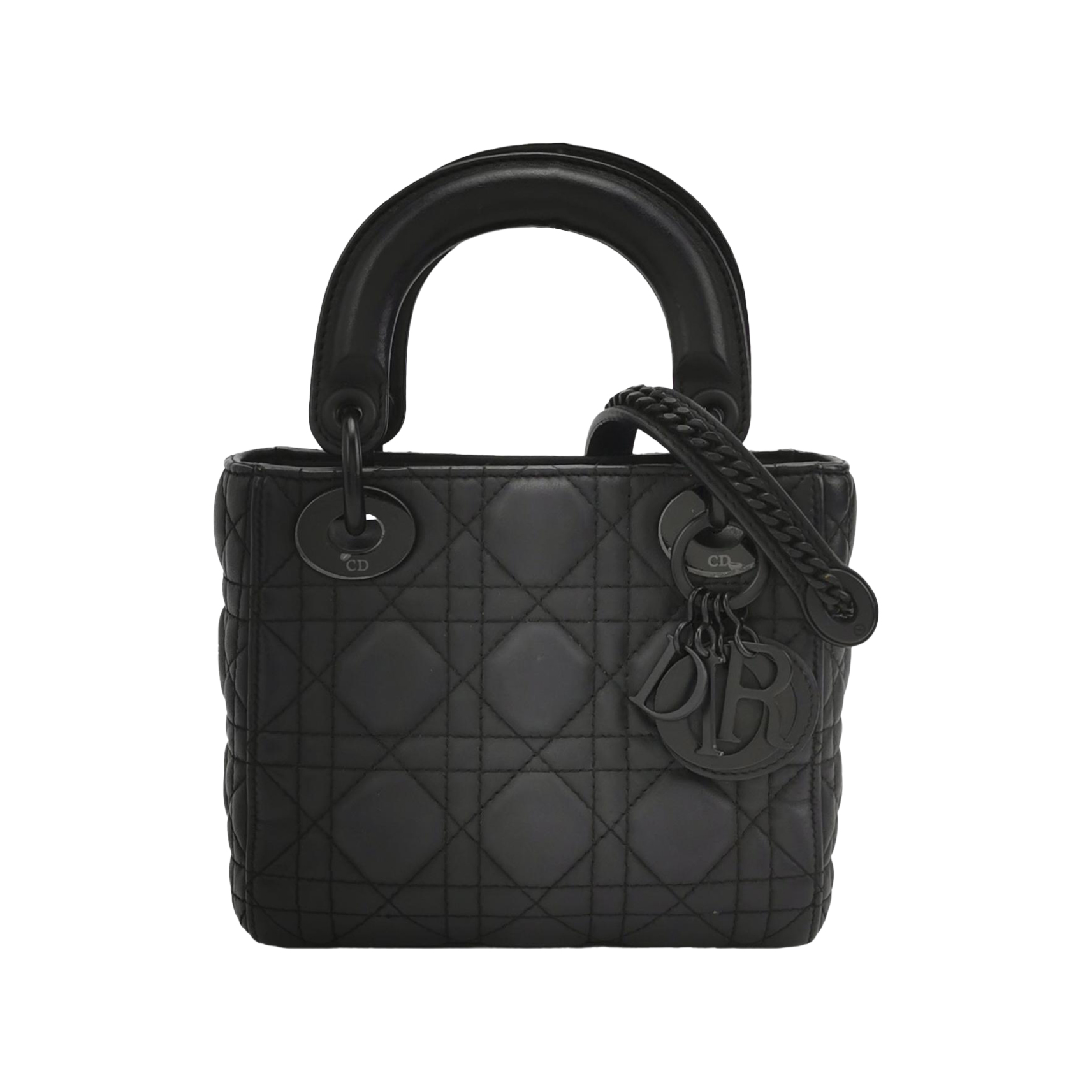 Lady Diorlogocrossbody Bag